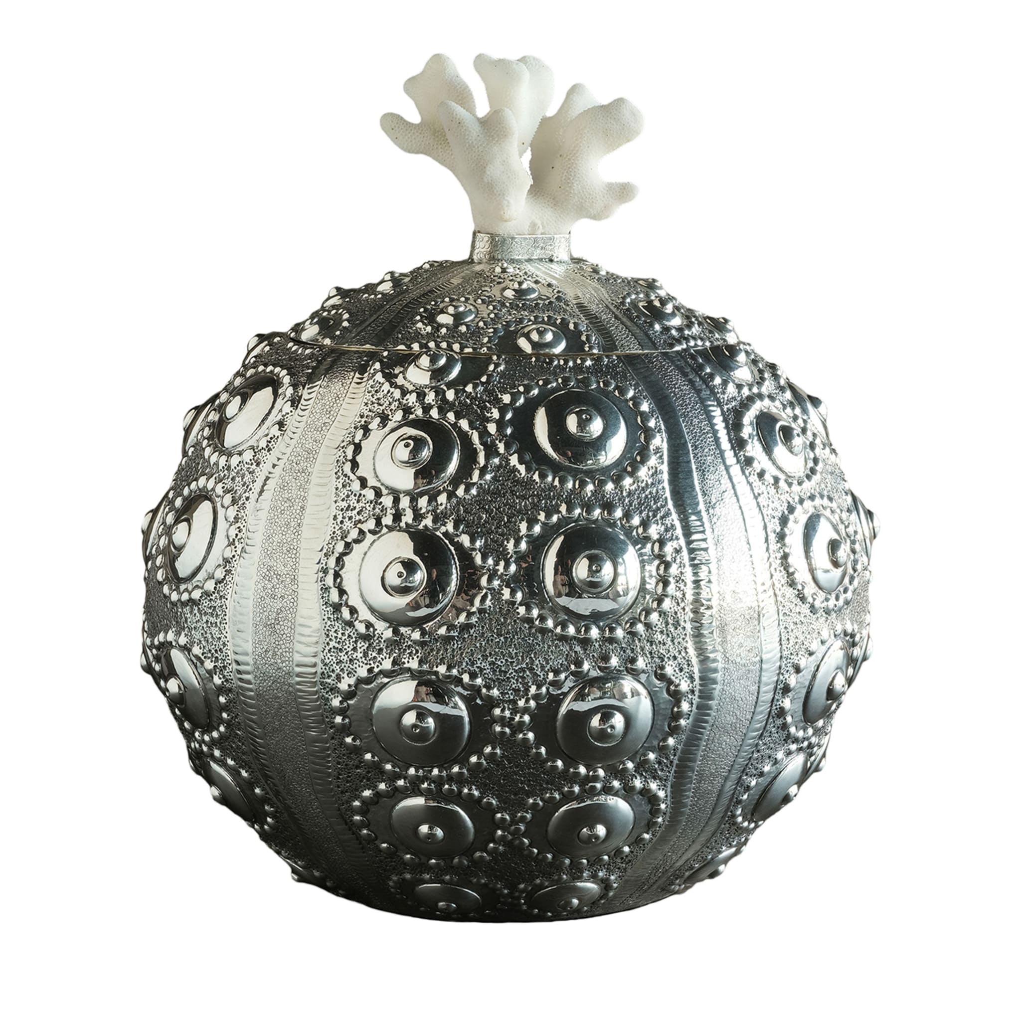 Silver Sea Urchin Box with Coral Lid - Main view