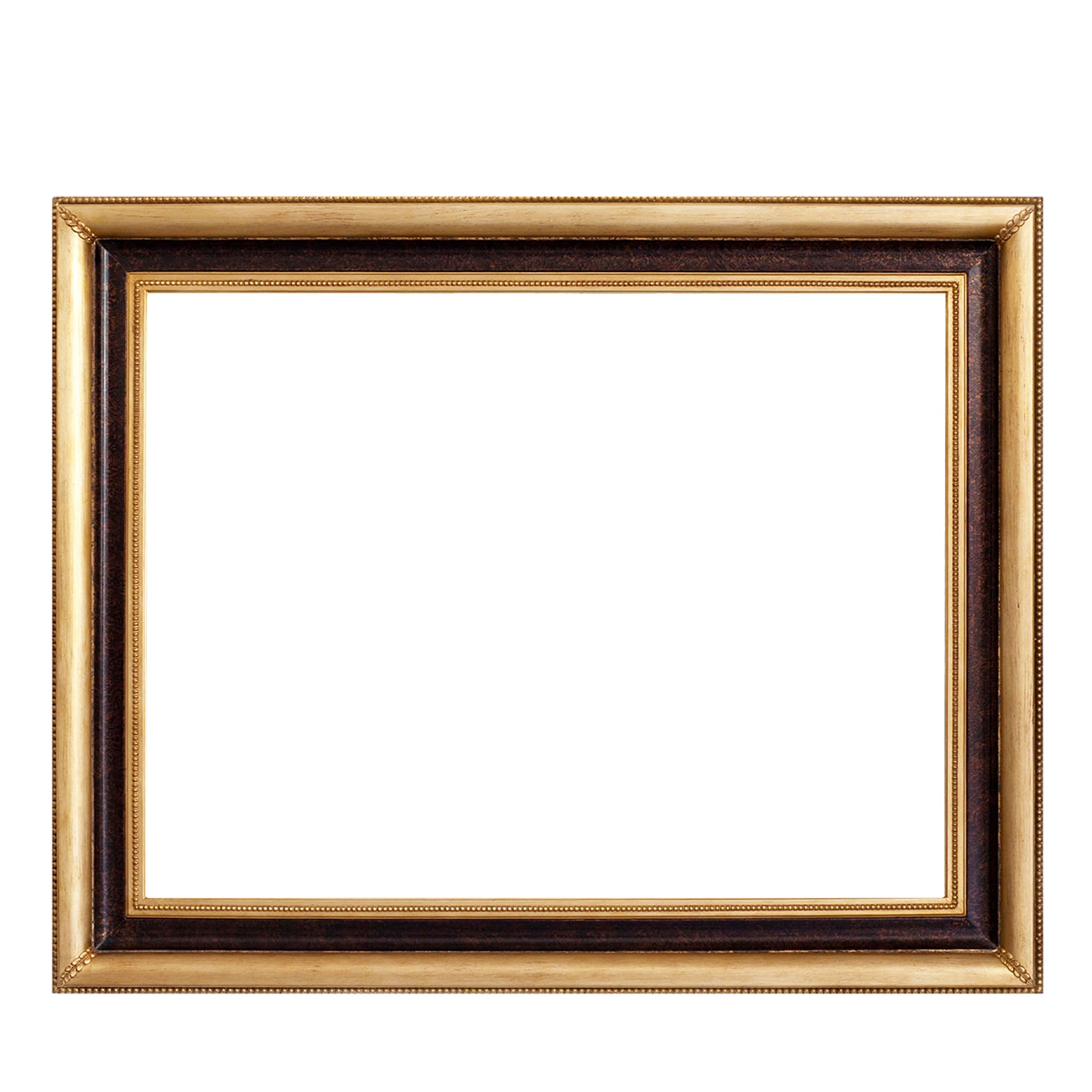 Salvator Rosa Frame #3 - Main view