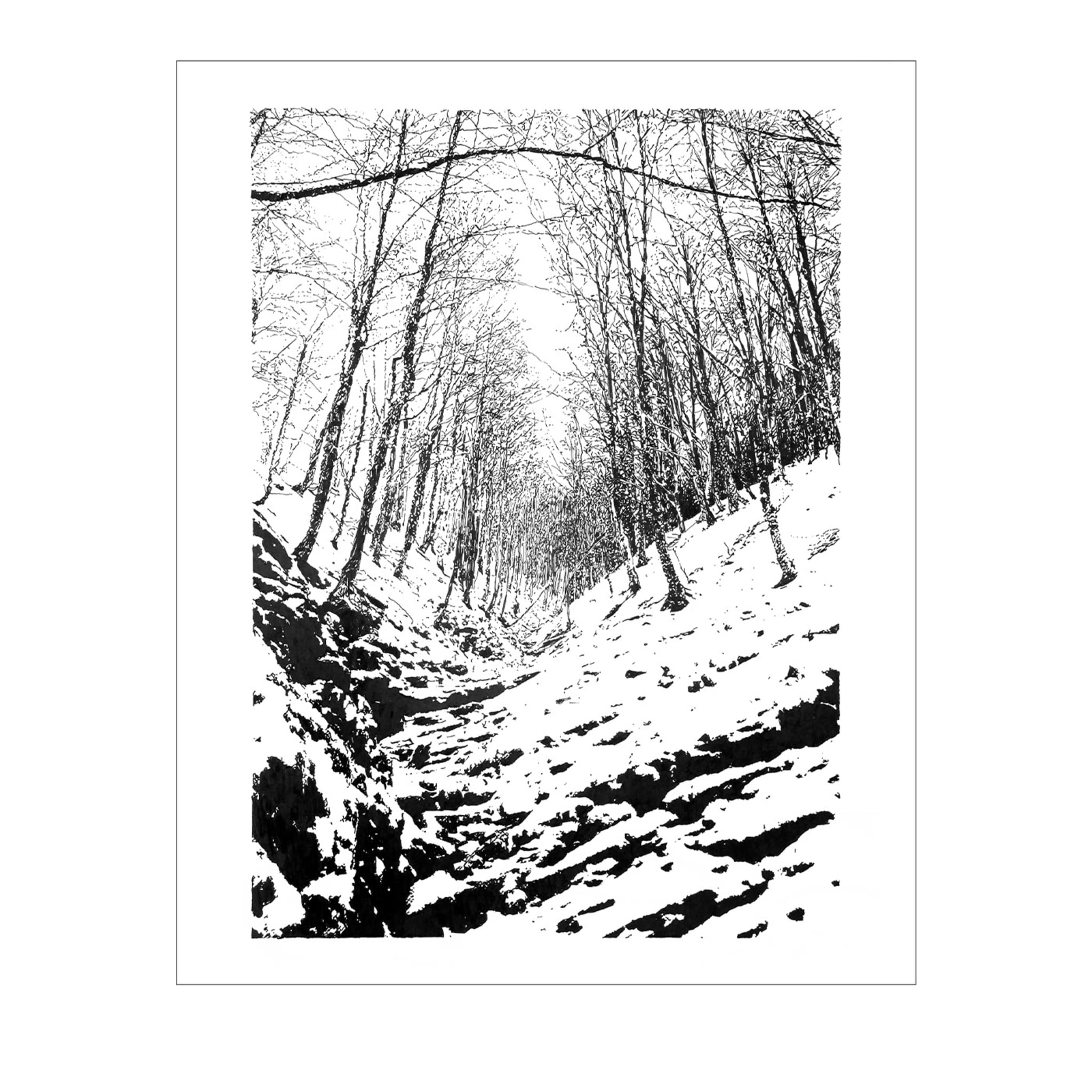 Snowy valley, Morterone Drawing - Main view
