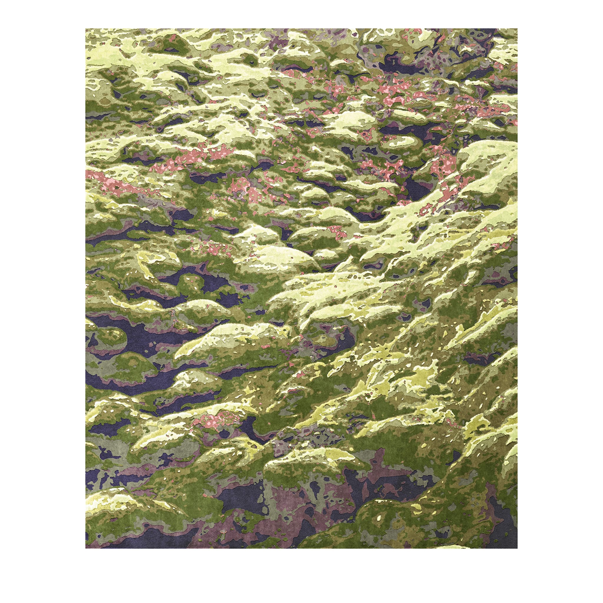 Misteriosa alfombra de musgo - Vista principal