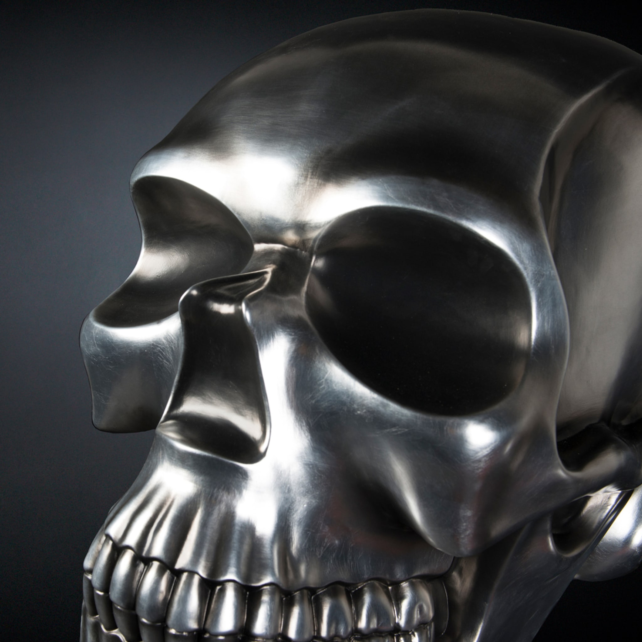 Sculpture de crâne noir et argent - Vue alternative 4