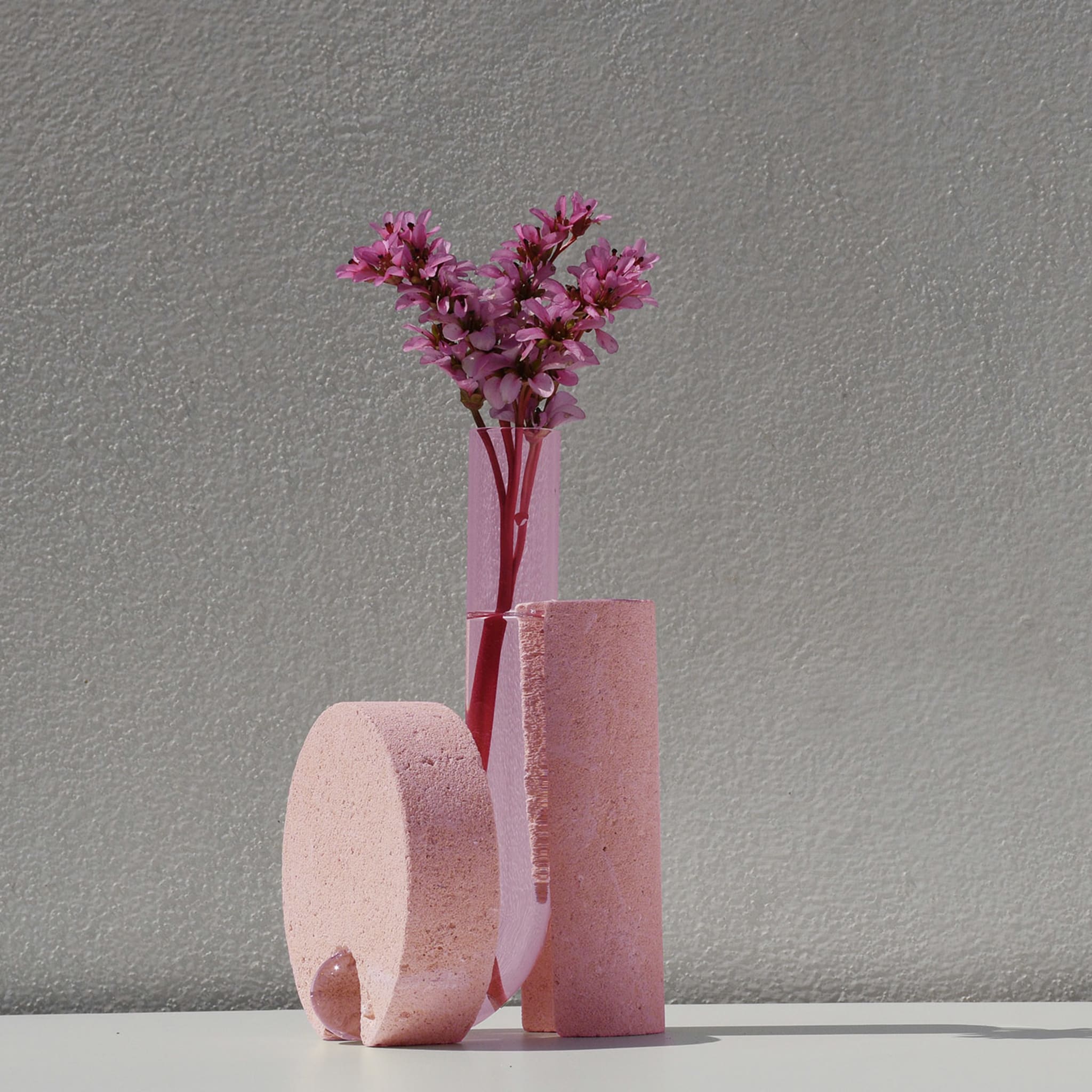 Cochlea Della Metamorfosi 2 Soils Pink Vase - Alternative view 3