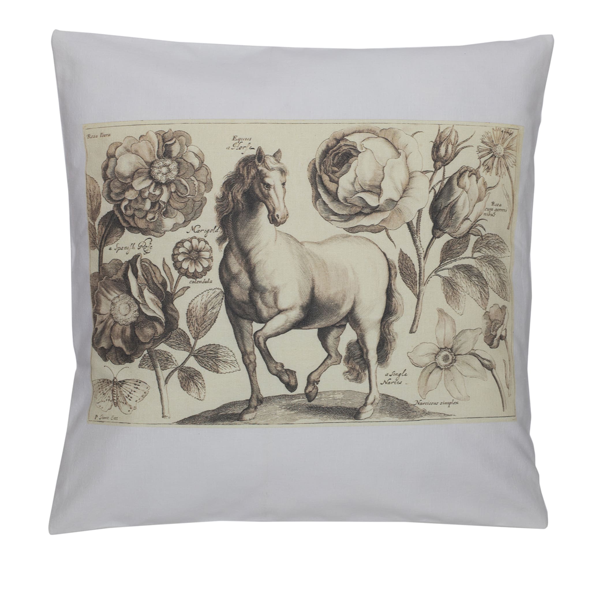 Florilegio con Cavallo cushion cover - Main view