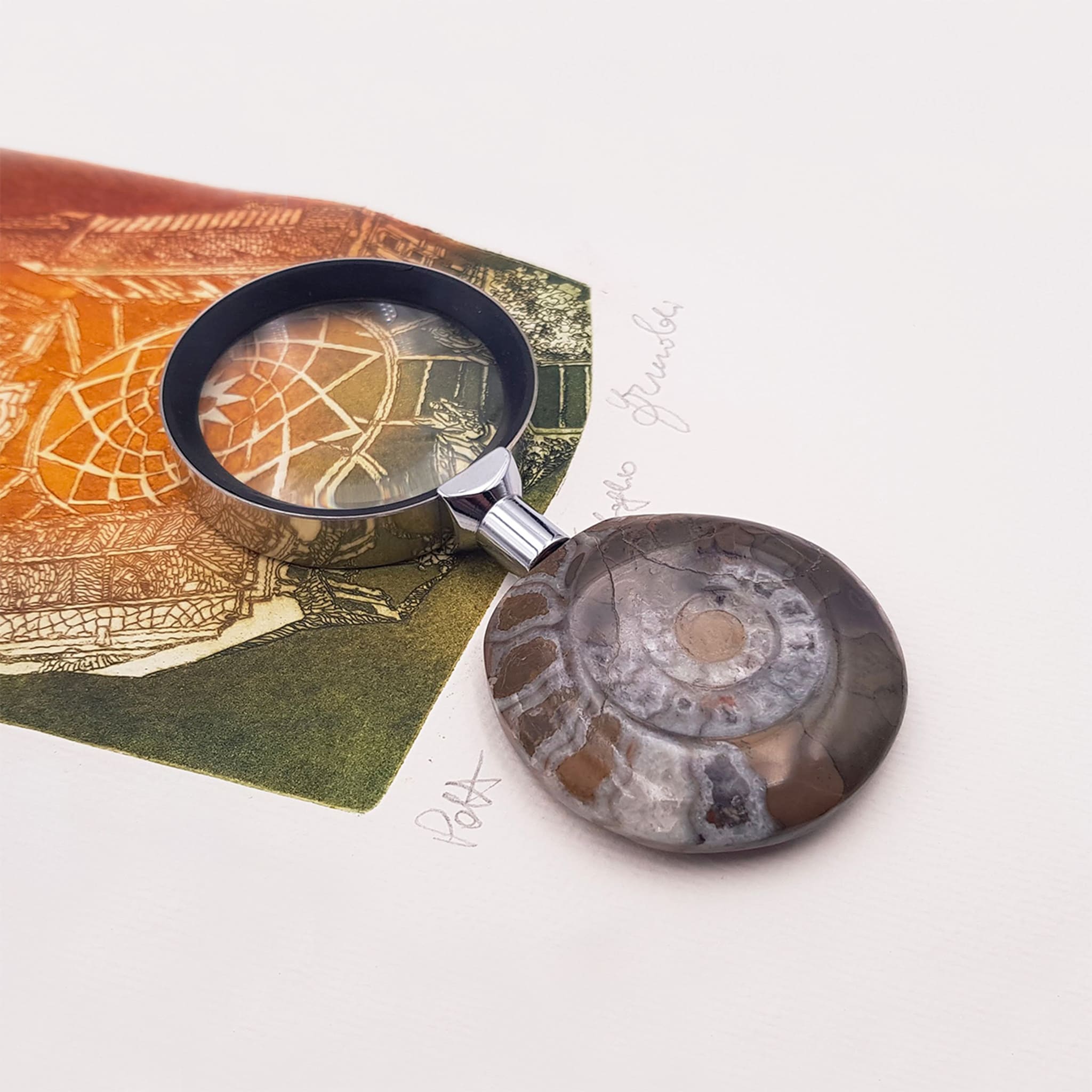 Ammonite Magnifying Glass by Nino Basso #2 - Alternative view 1