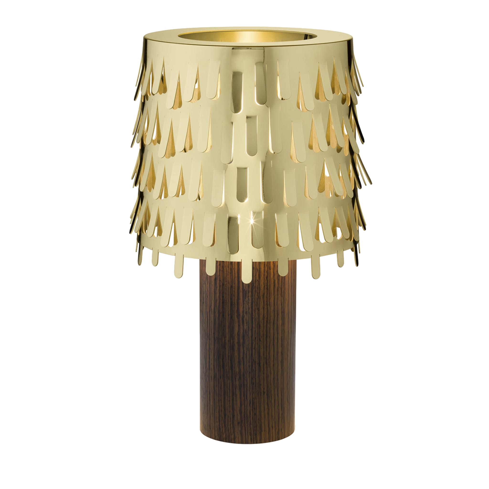 Jack Fruit Table Lamp by Campana Brothers - Main view