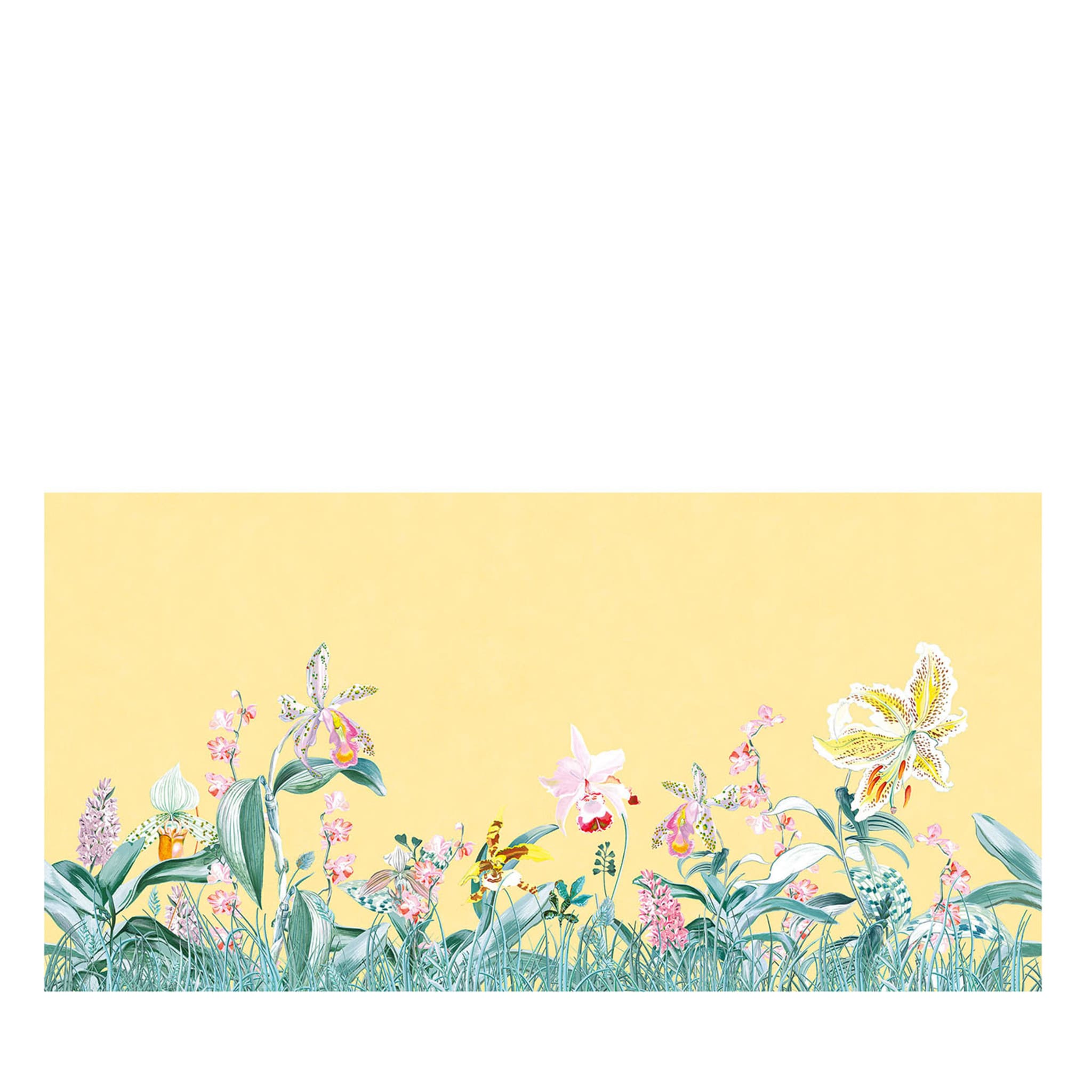 Gelbe Orchidee Panorama Tapete Kollektion Camere - Hauptansicht