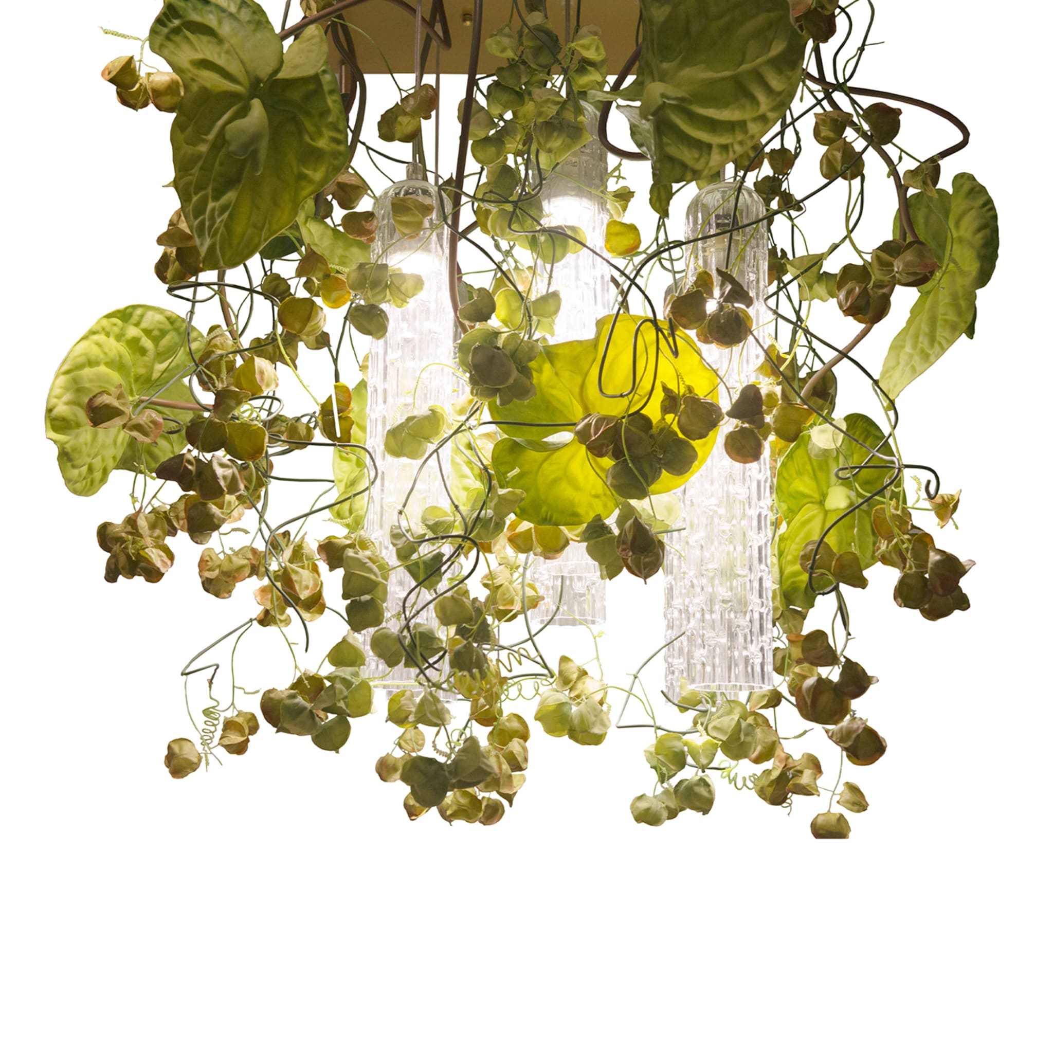 Flower Power Physalis &amp; Anthurium Großer Quadratischer Kronleuchter - Hauptansicht
