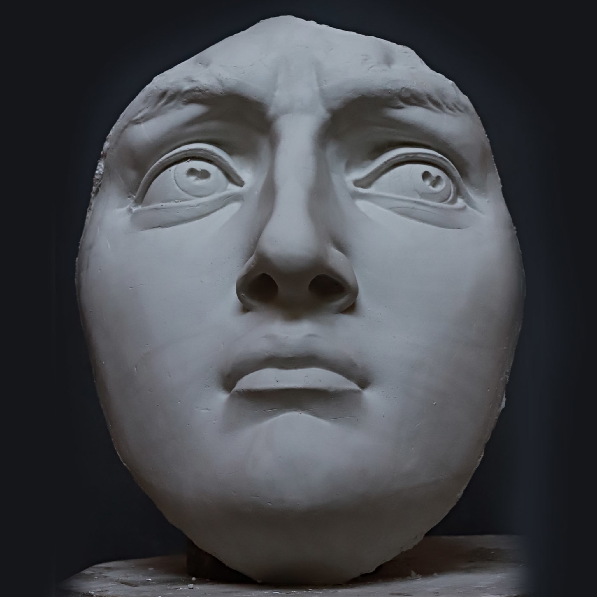 Michelangelo's David's Plaster Head - Alternative view 2