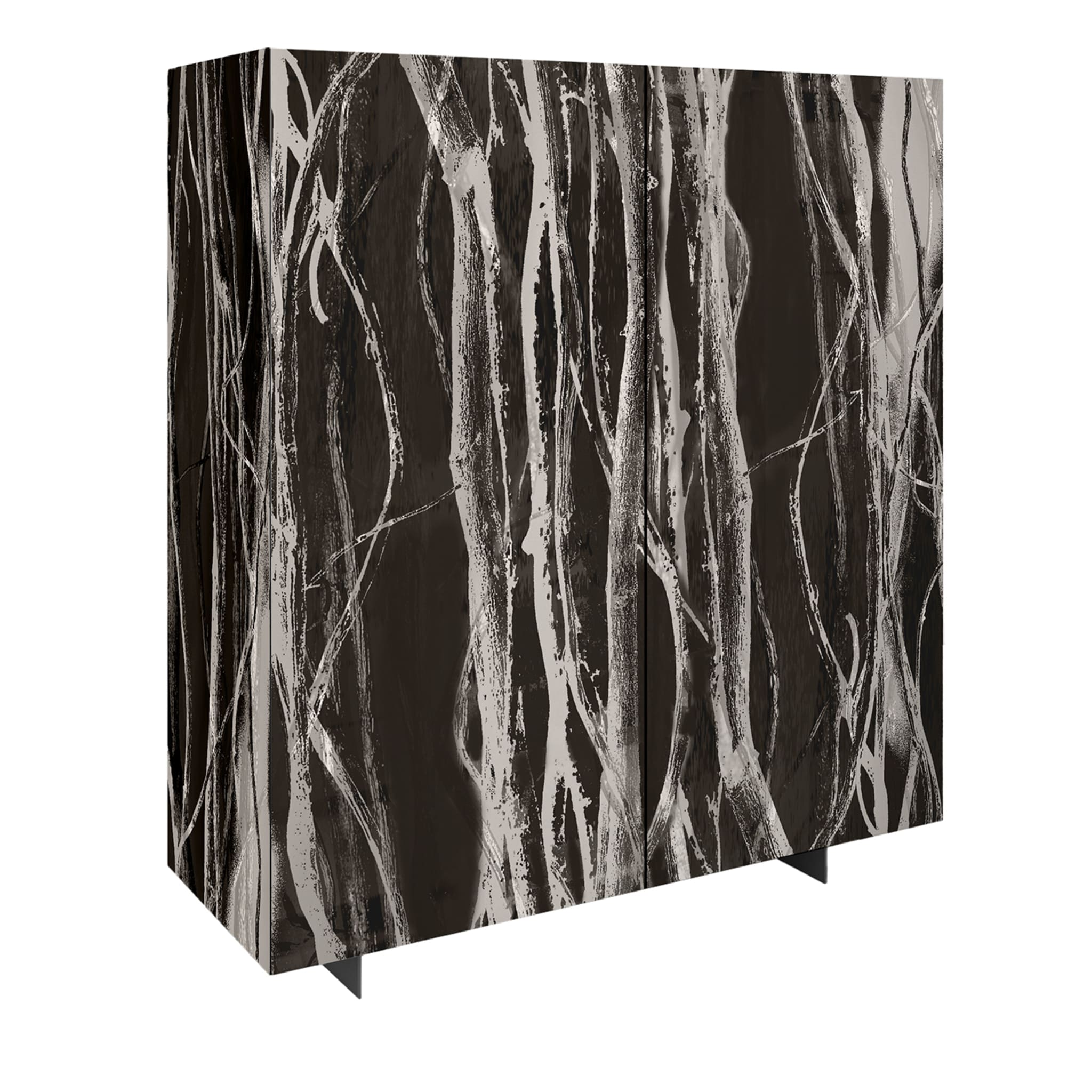 Wall Dress Forest 2-Door Black Cabinet - Main view