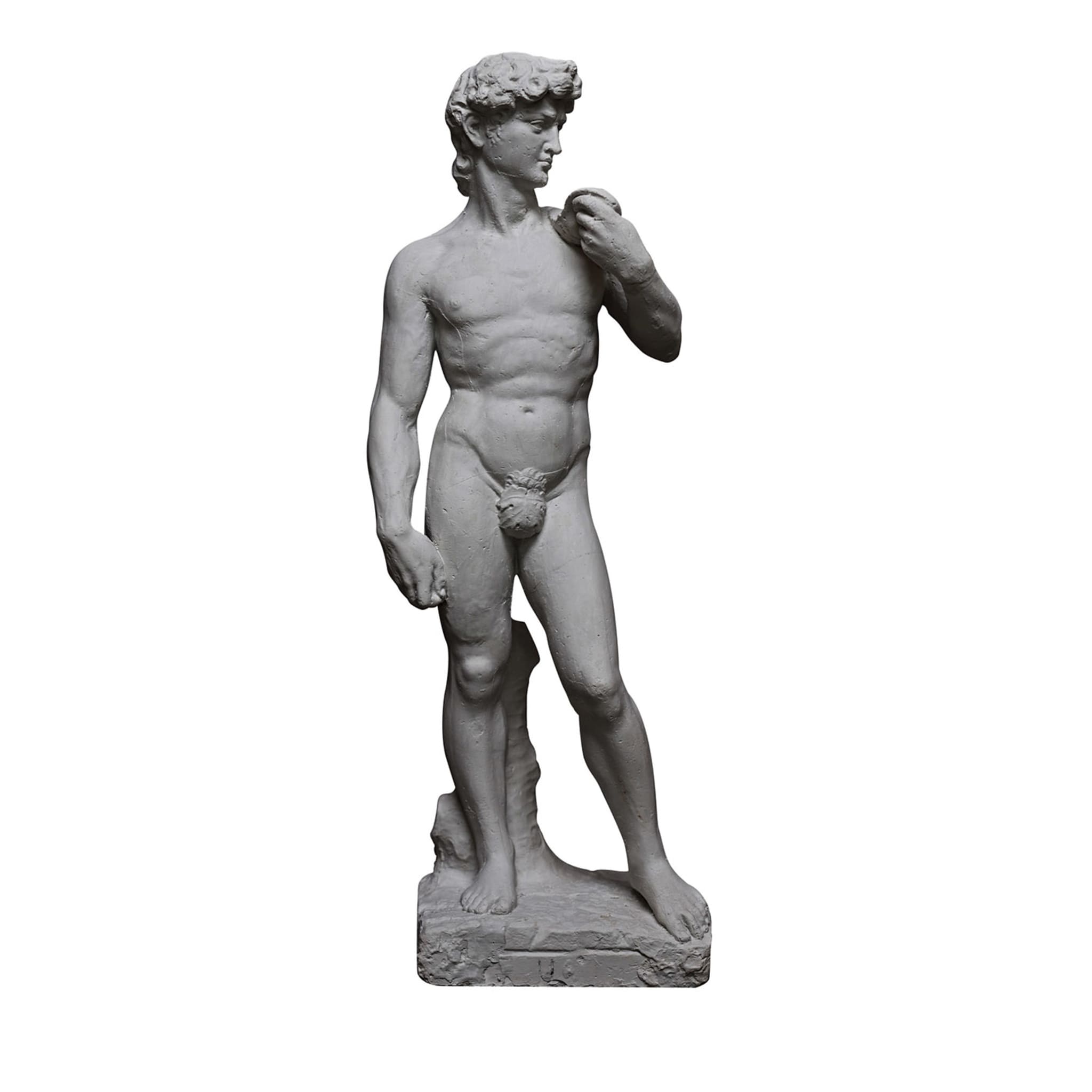 Scultura David Di Michelangelo - Vista principale