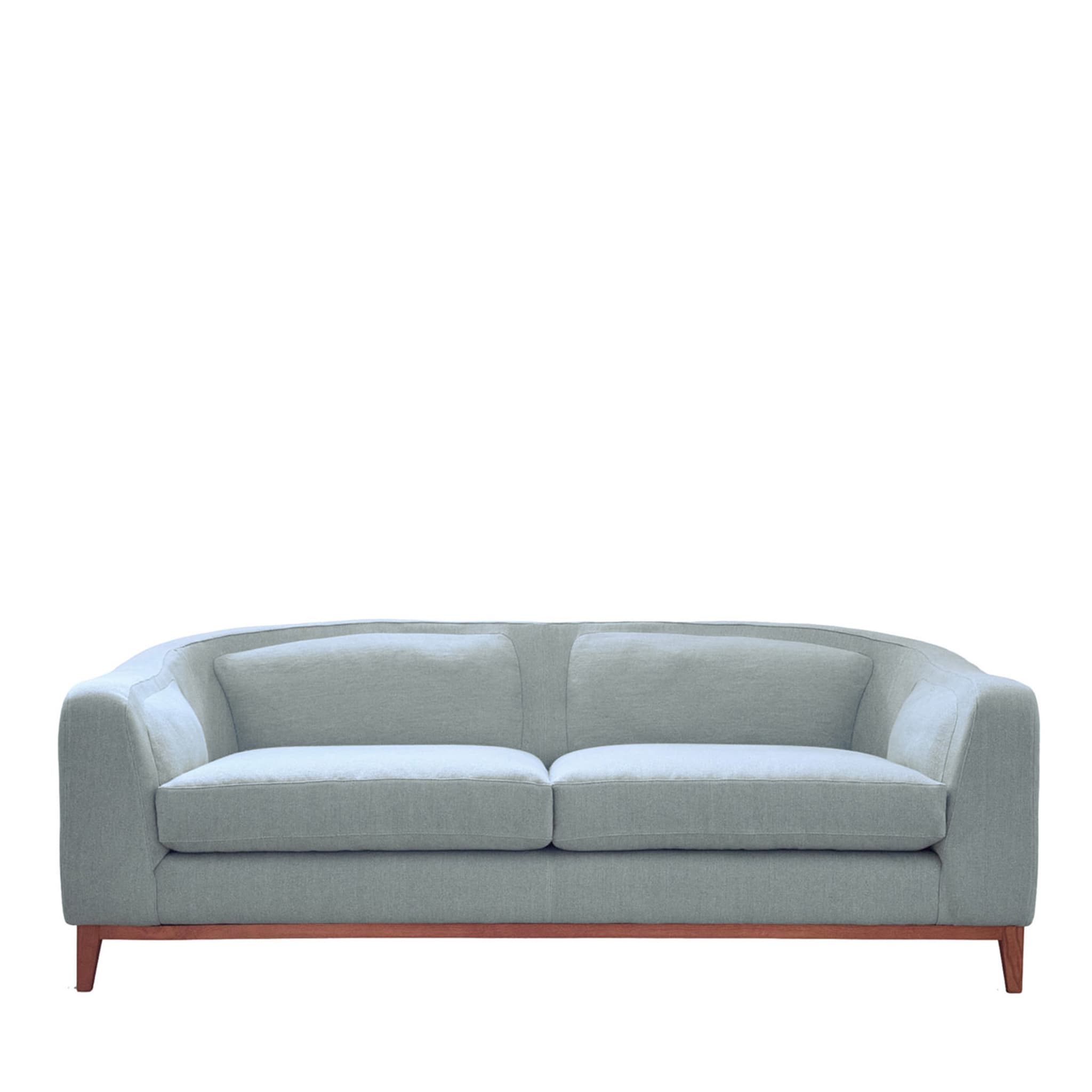 Zeno 2 Seater Sofa By Brian Sironi - Main view