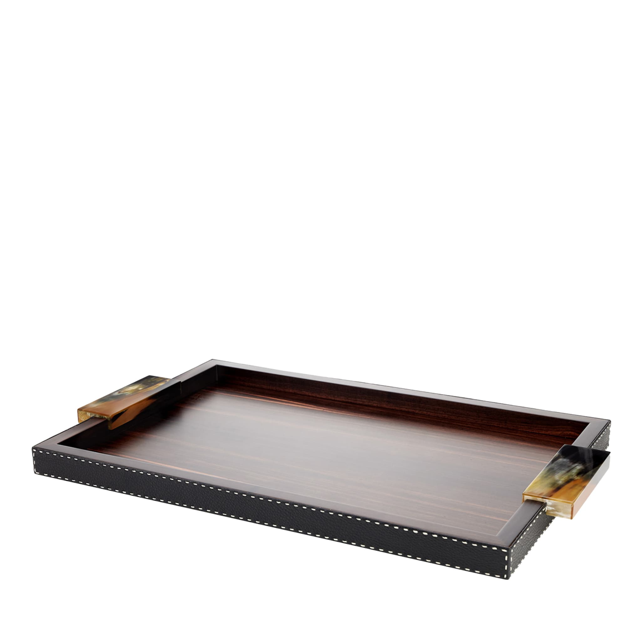 Gioele Ebony & Black Leather Tray with Horn Handles - Main view