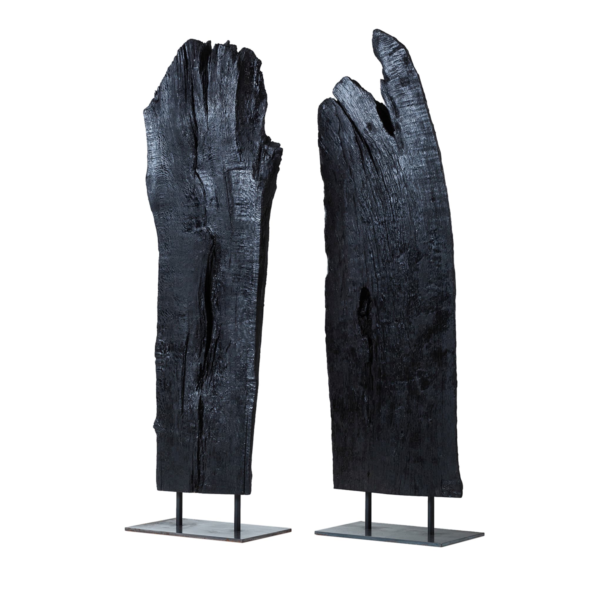 Linguat II Satz von 2 schwarzen Skulpturen - Hauptansicht