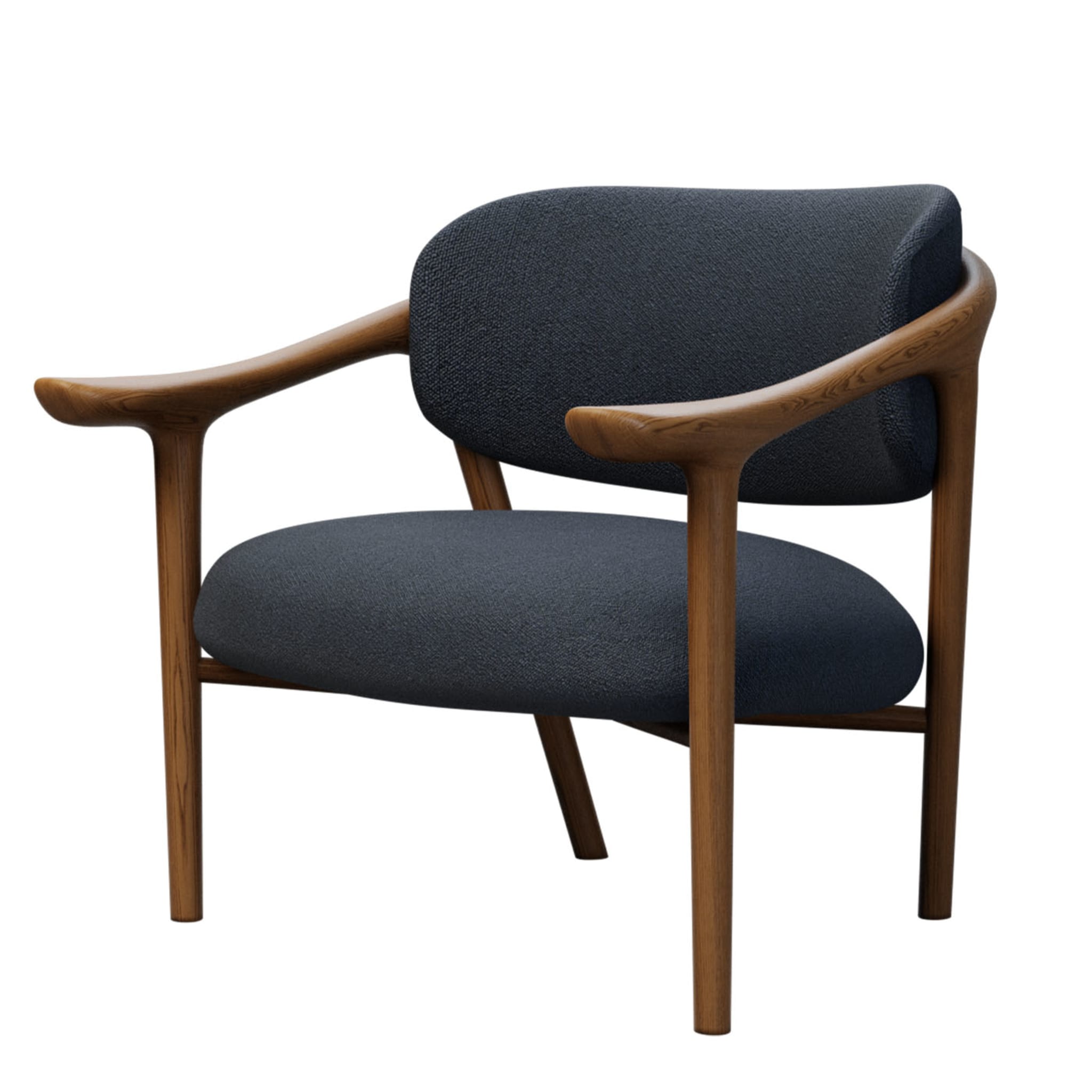 Aida Lounge Chair by Libero Rutilo - Alternative view 1