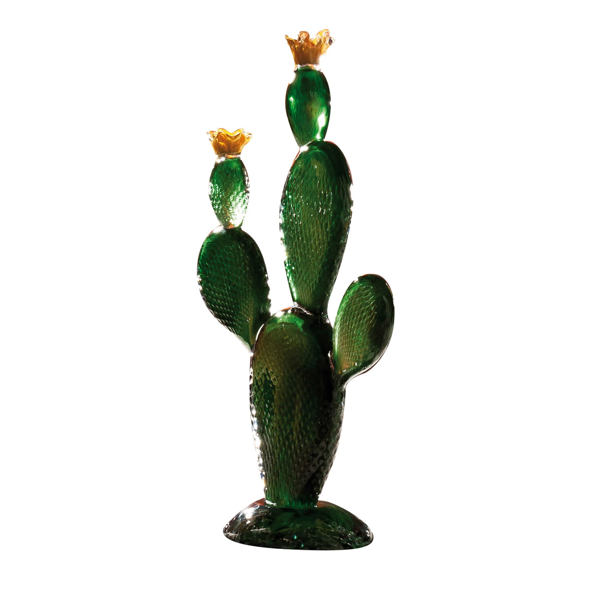 Grande cactus verde - Vista principale