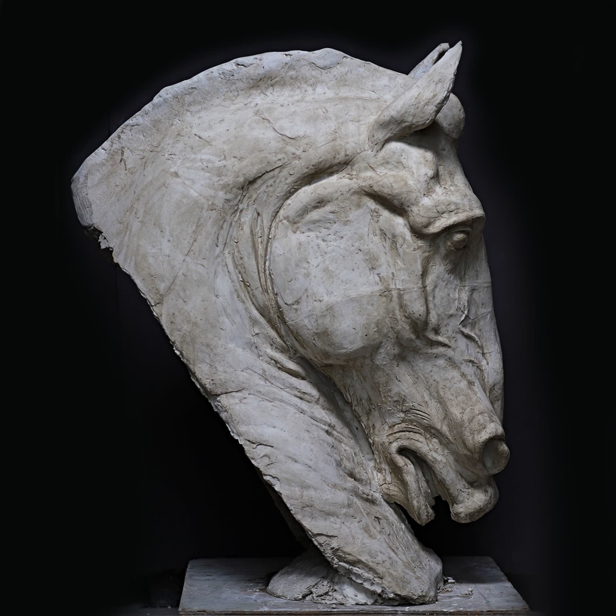 Horse's Head Sculpture - Alternative view 5