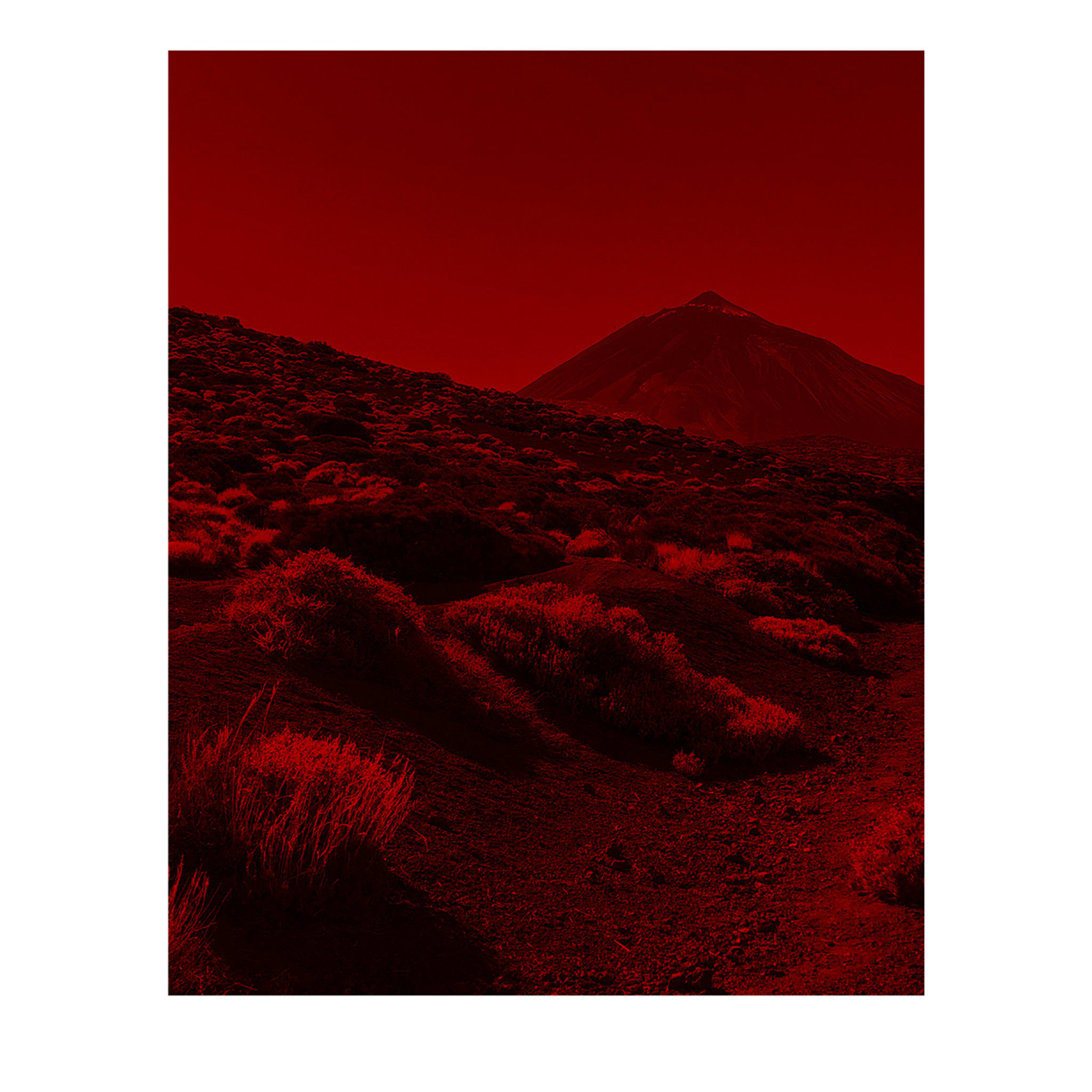 Marsianer 03 Fotodruck - Hauptansicht