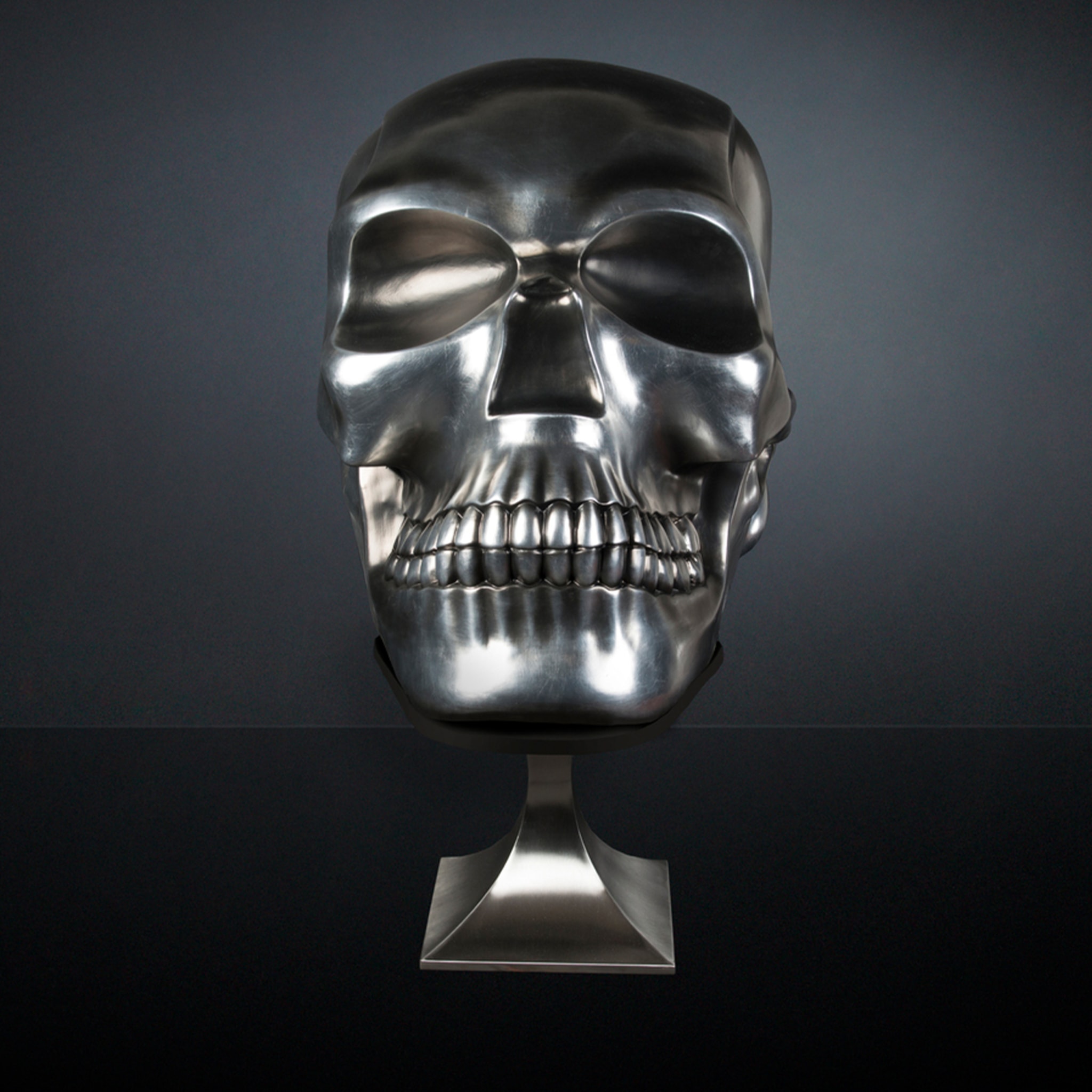 Sculpture de crâne noir et argent - Vue alternative 5