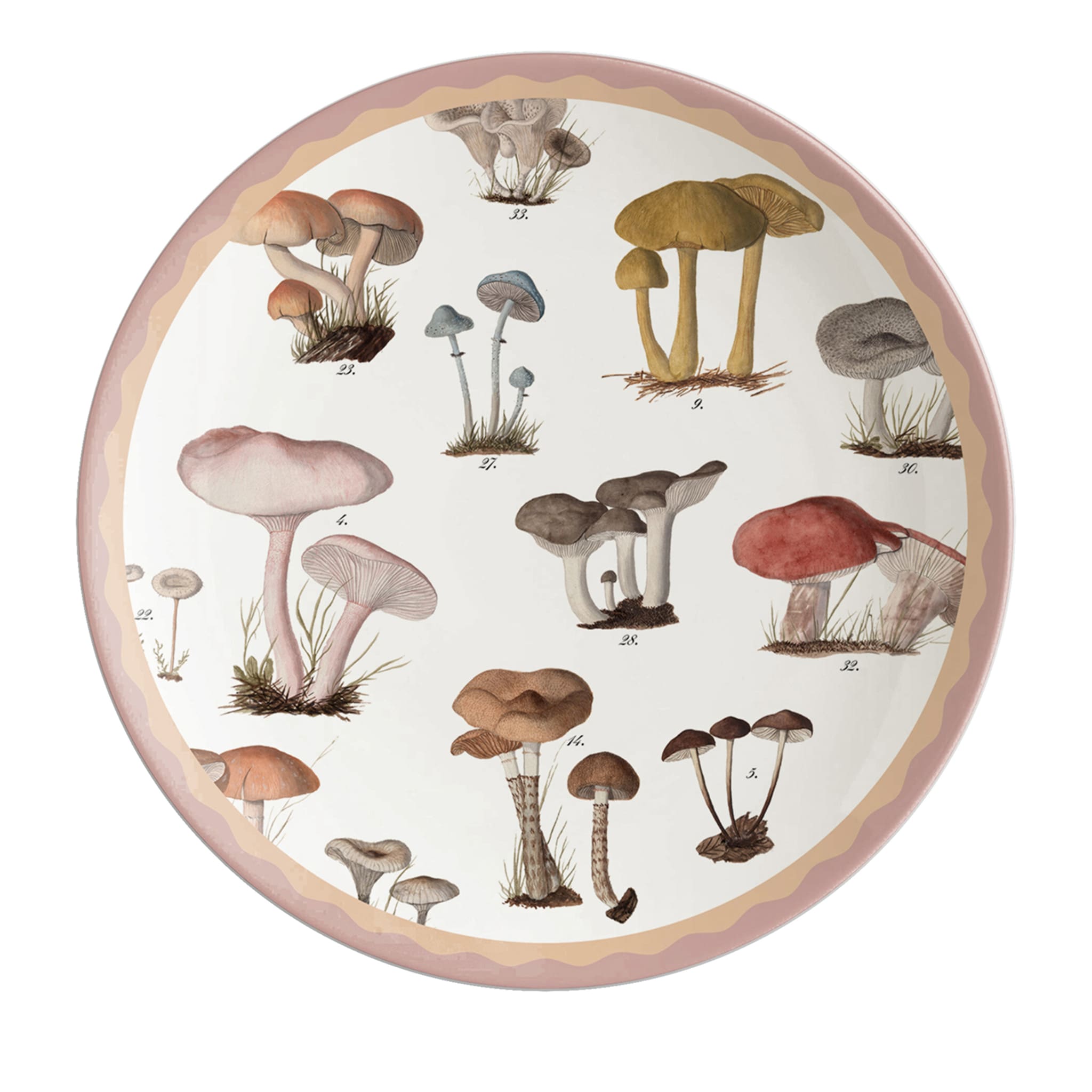 Cabinet De Curiosités Set Of 2 Porcelain Dessert Plates With Mushrooms - Main view