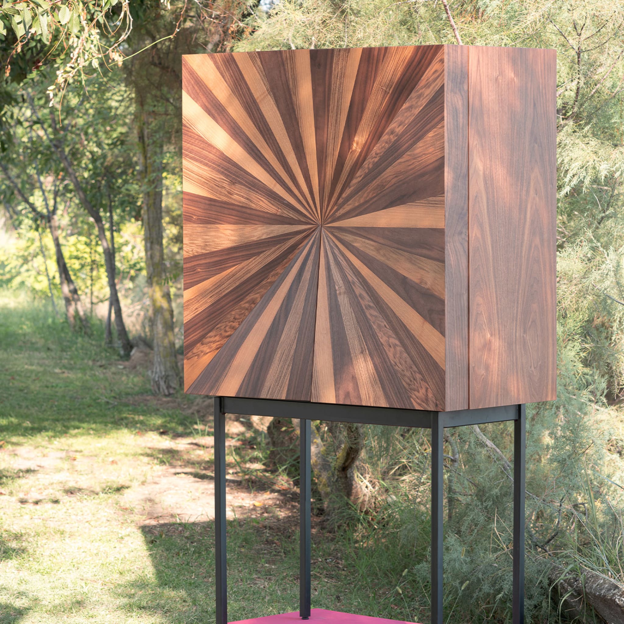 Veneered Wood Cabinet - Alternative view 4