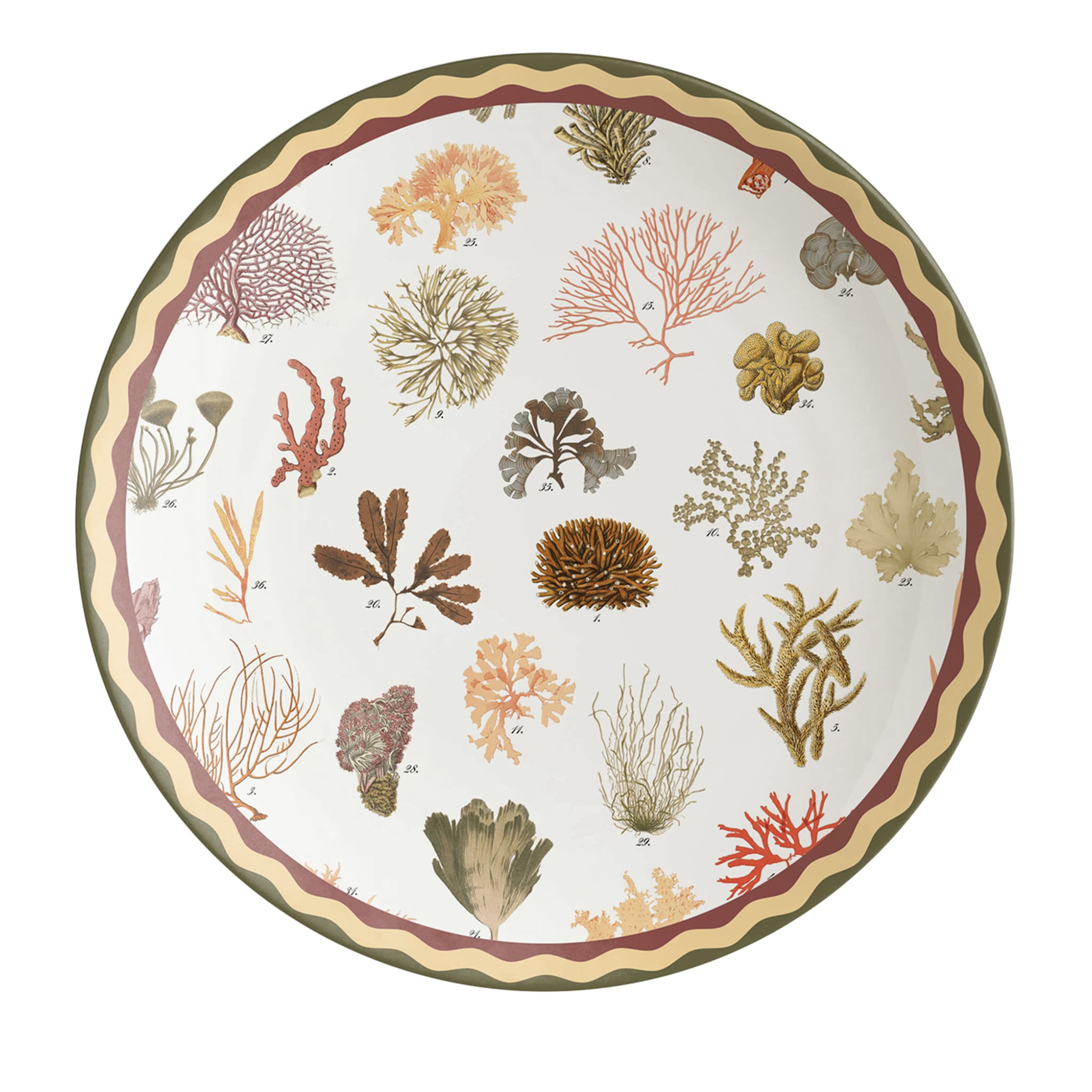 Cabinet De Curiosités Porcelain Dinner Plate With Corals - Main view