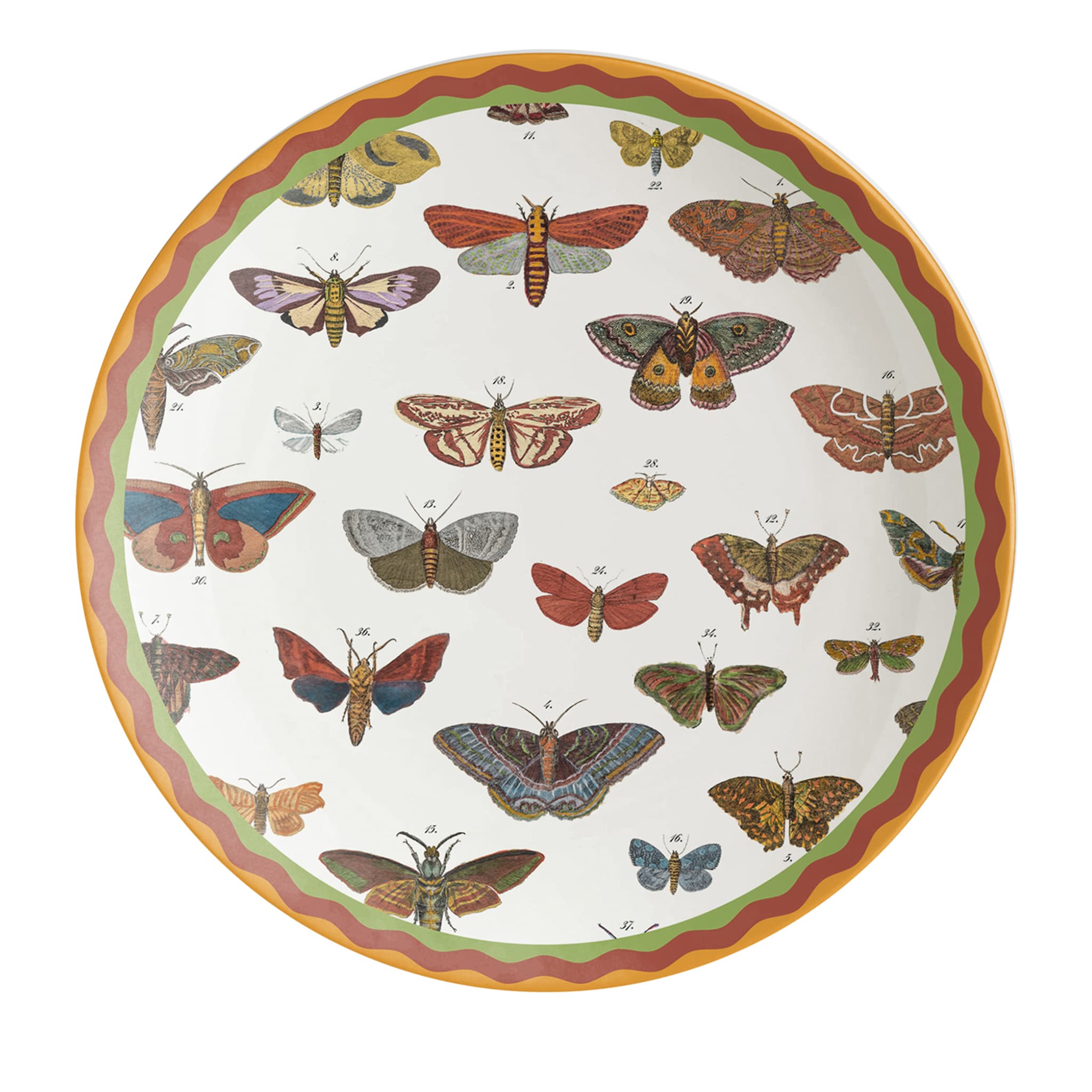 Cabinet De Curiosités Porcelain Dinner Plate With Butterflies - Main view