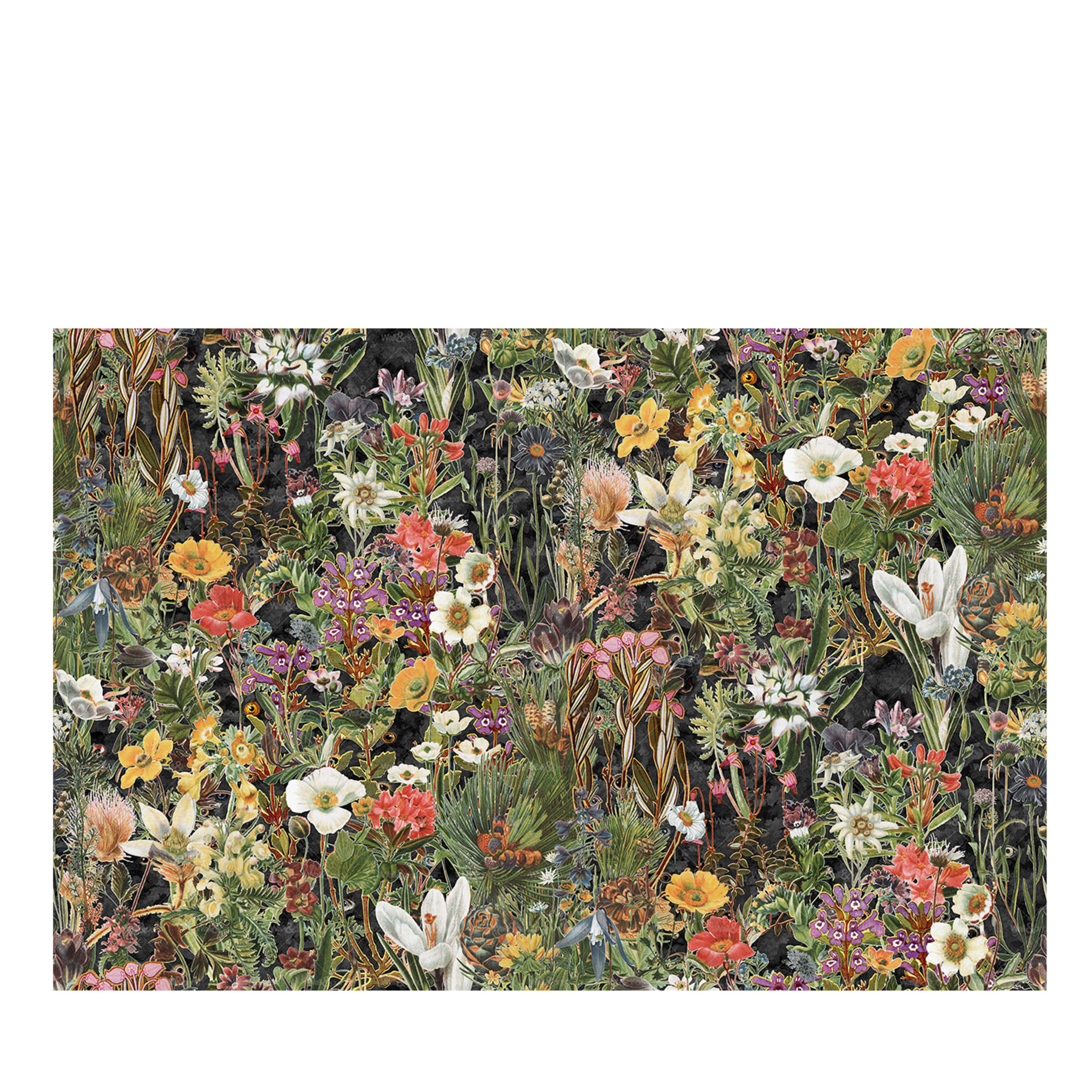 Et maintenant ? Papier peint floral polychrome de Francesco Simeti - Vue principale