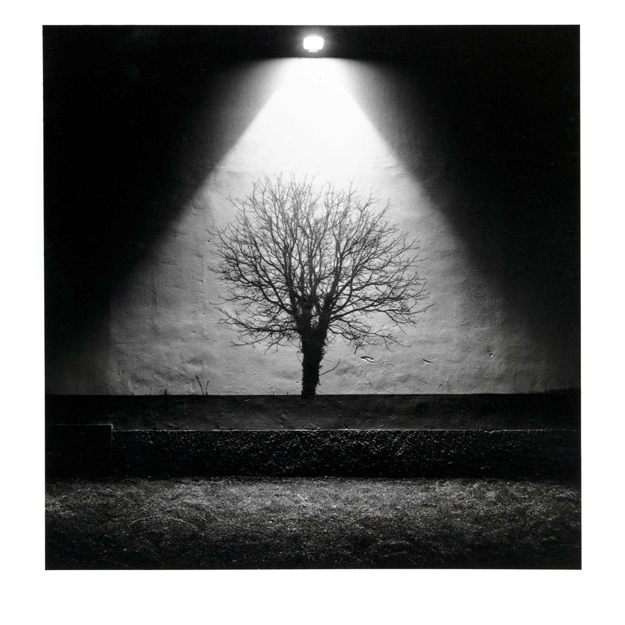 Poetica #20 - Hand-made Photographic Print - Main view