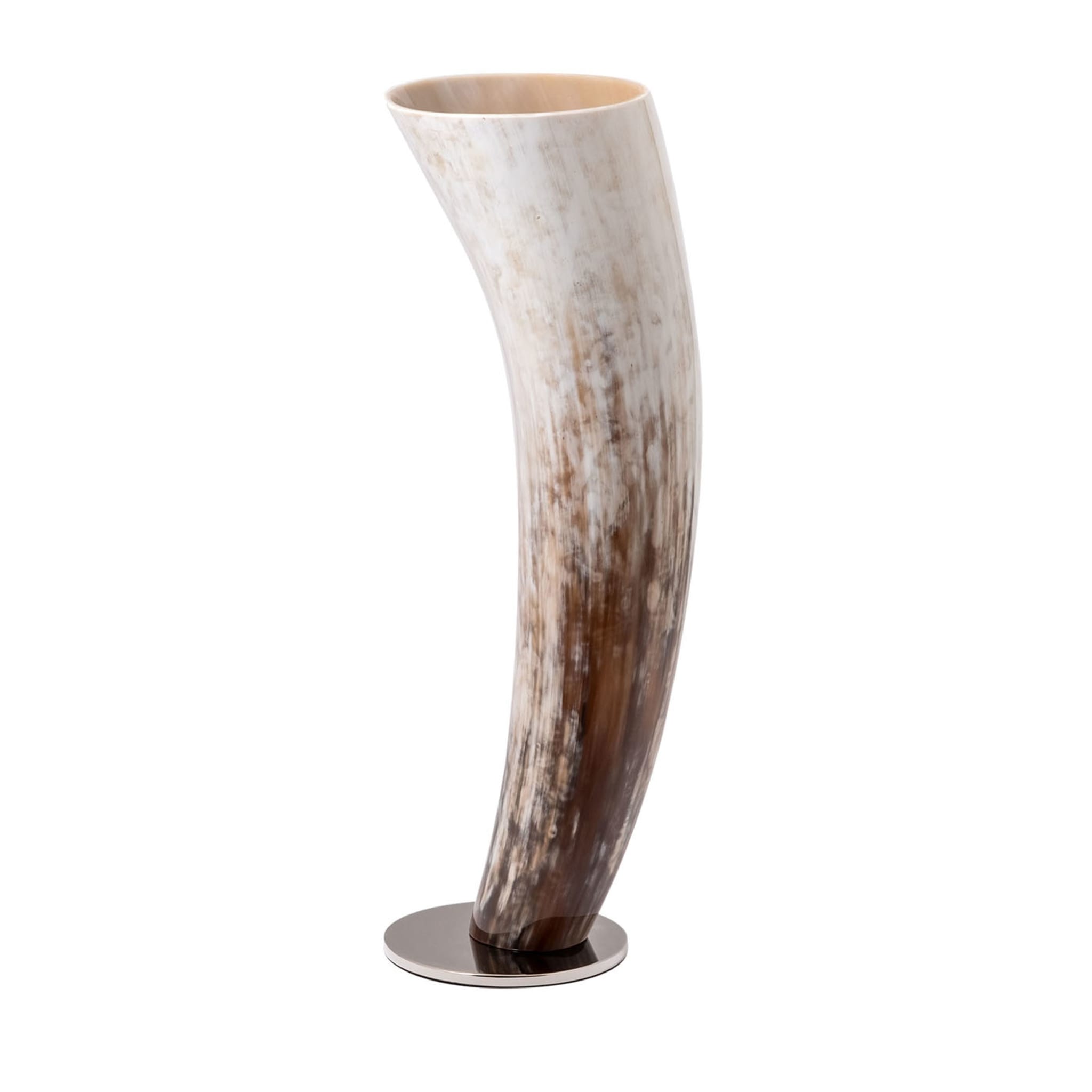 Natural Horn Vase - Main view