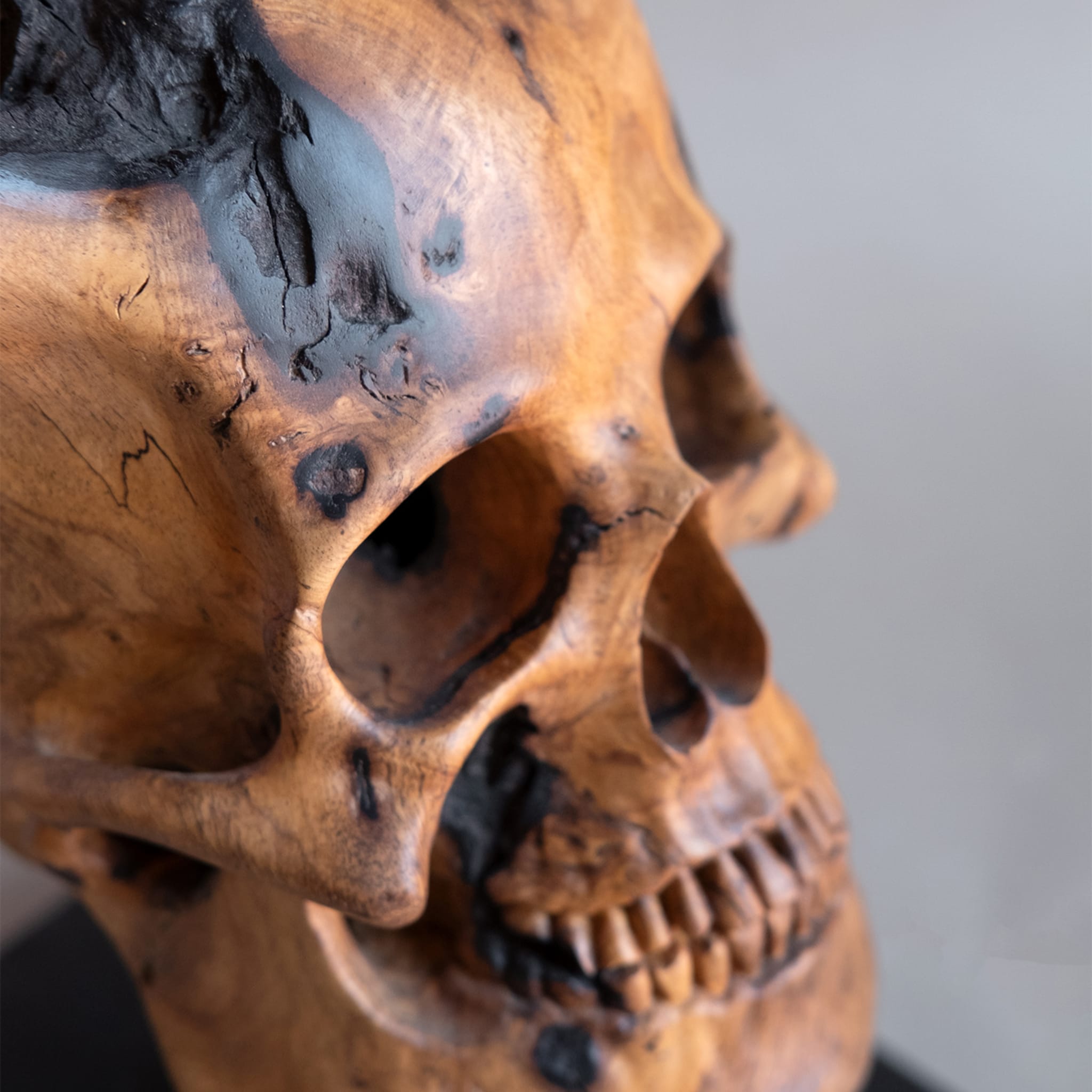 Sculpture du crâne ramifié - Vue alternative 2