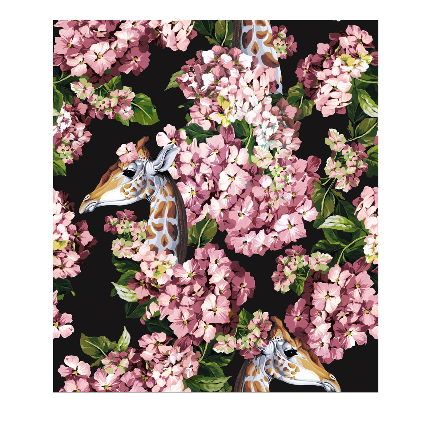 The Hortense Dream Black And Rose Wallpaper - Officinarkitettura