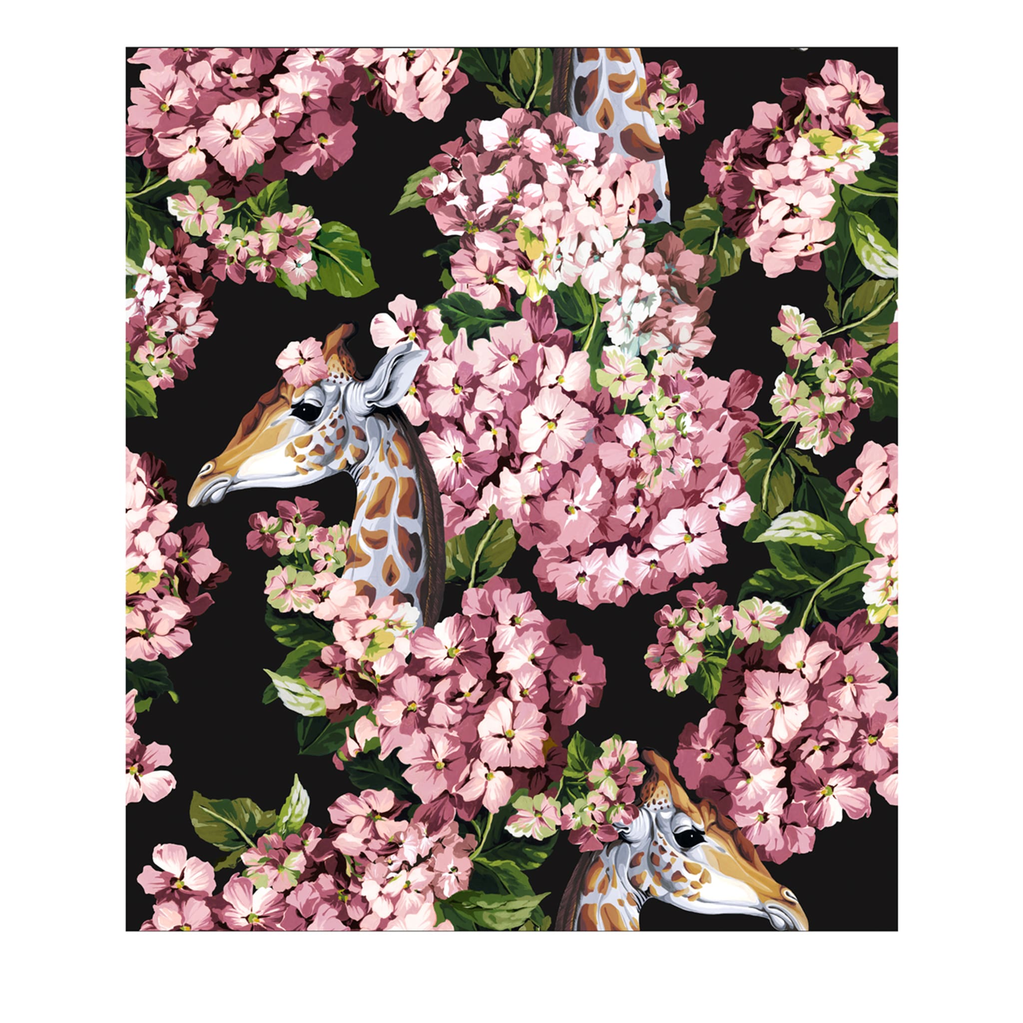 The Hortense Dream Black And Rose Wallpaper - Main view
