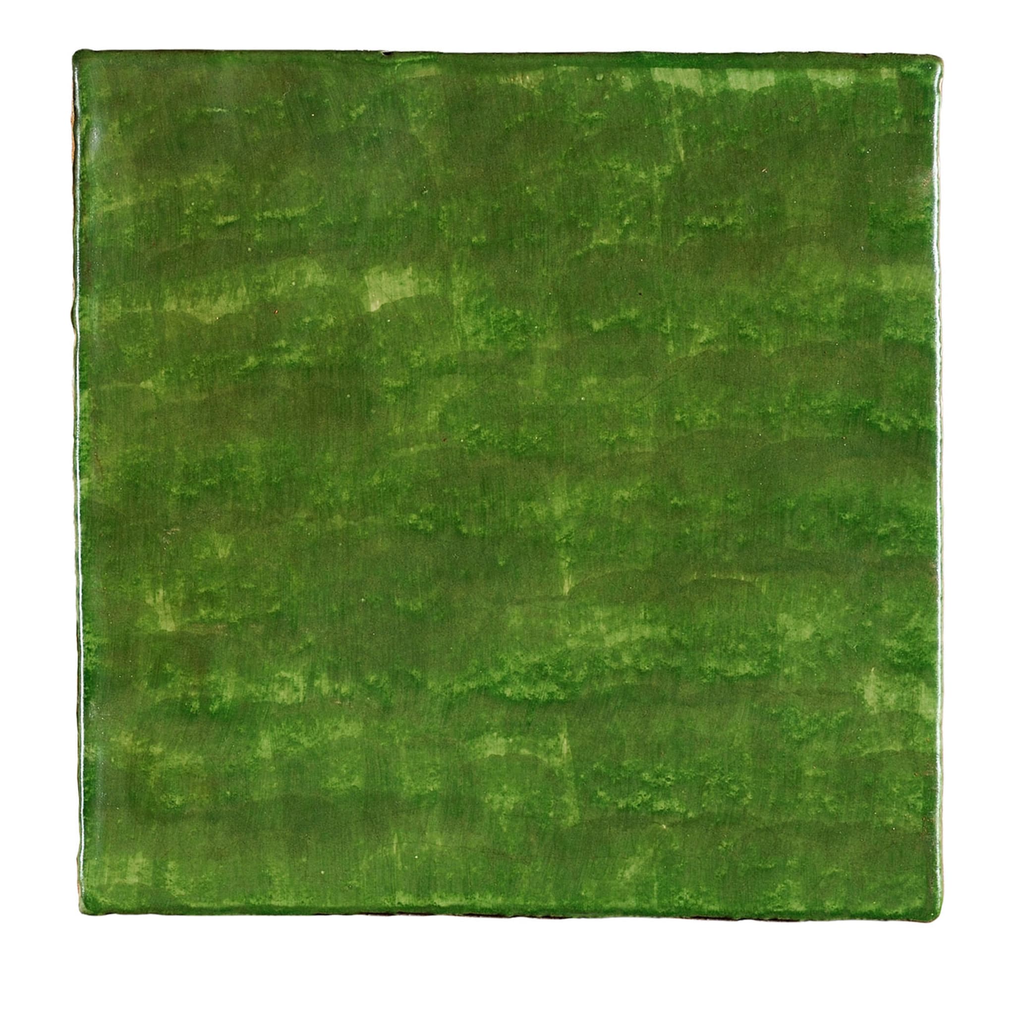 Dejavu Ficus Indica Set of 25 Green Tiles - Main view