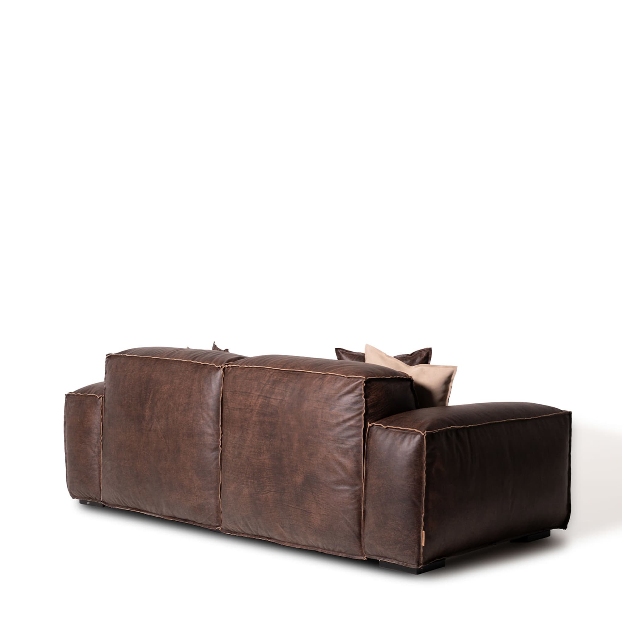 Placido 2 Seater Sofa Maxi by Marco and Giulio Mantellassi  - Alternative view 3