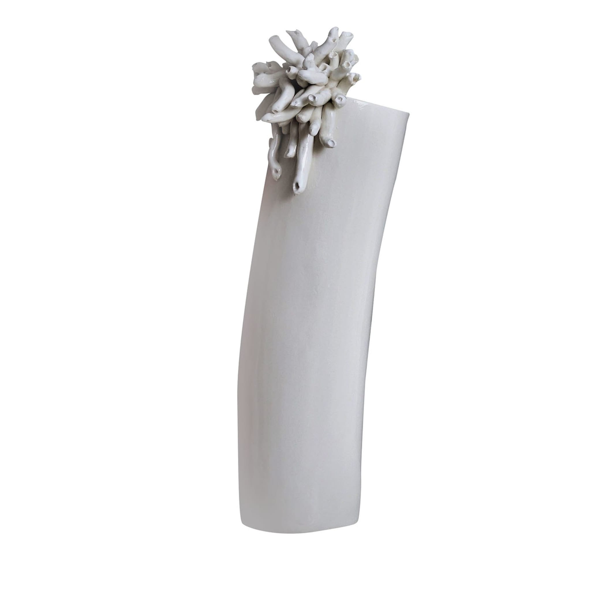 Anemoni Glossy White Vase - Main view