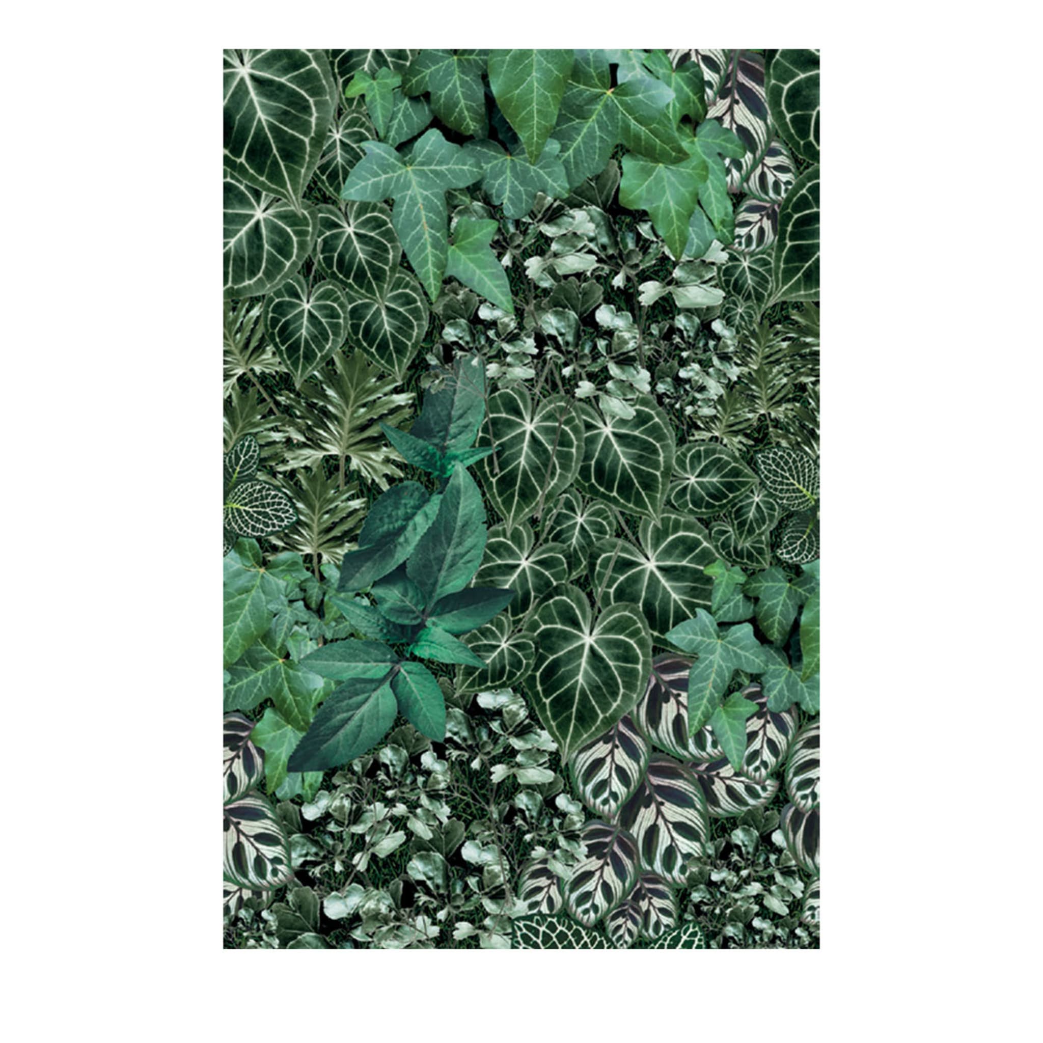 05 Into The Green Outdoor Wallpaper - Vue principale