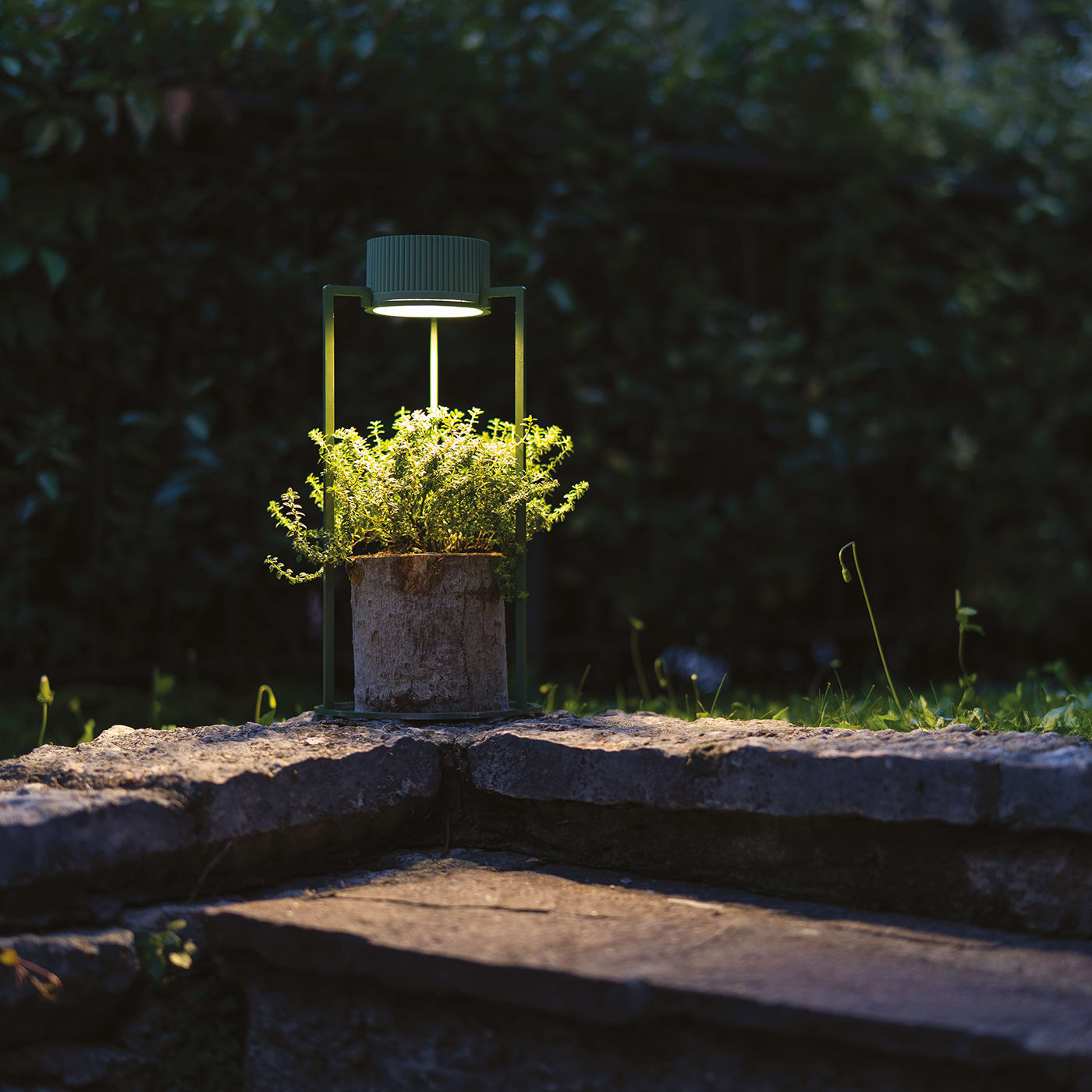 Toque Garden Lamp - Toque Mood