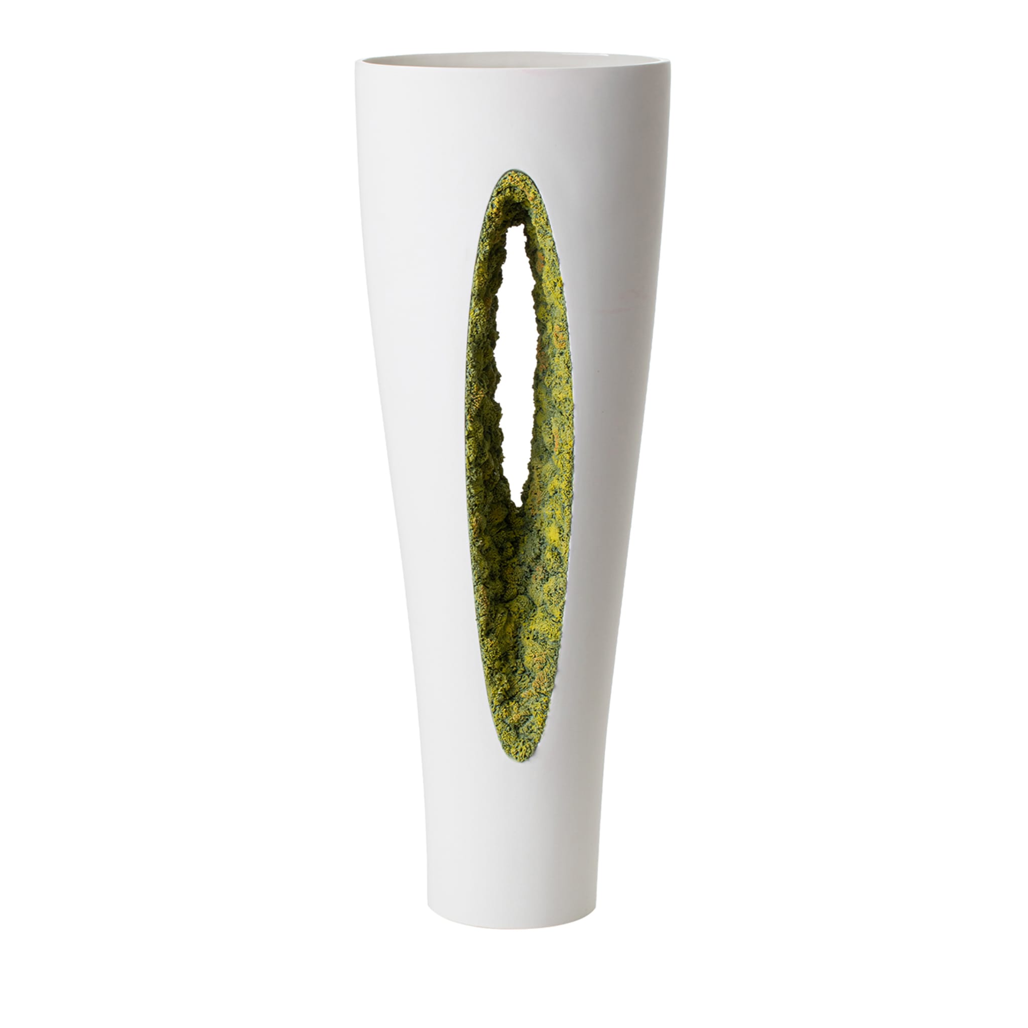 Vase mit grünem Moos von innen nach außen - Hauptansicht