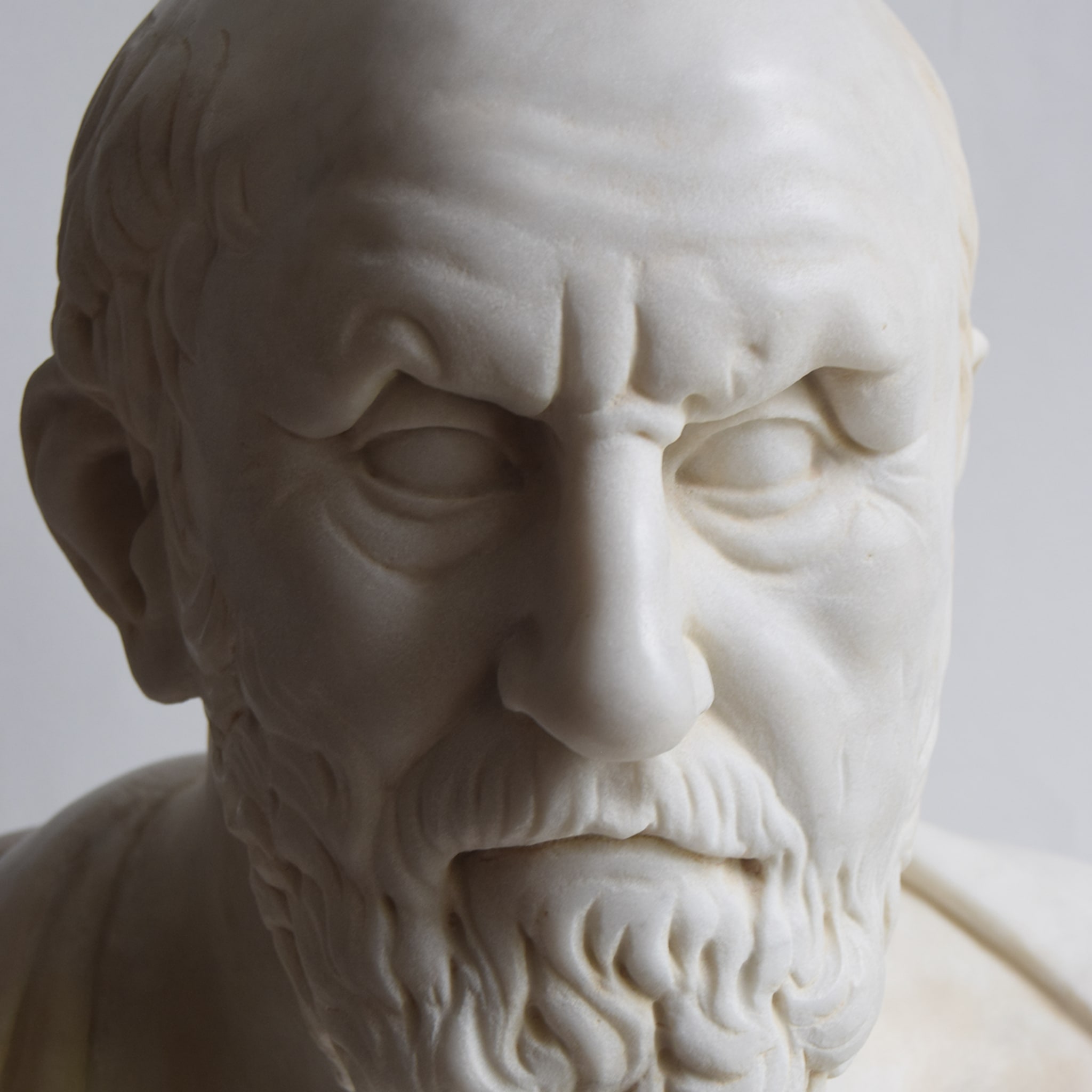 Hippocrates White Carrara Bust - Alternative view 4