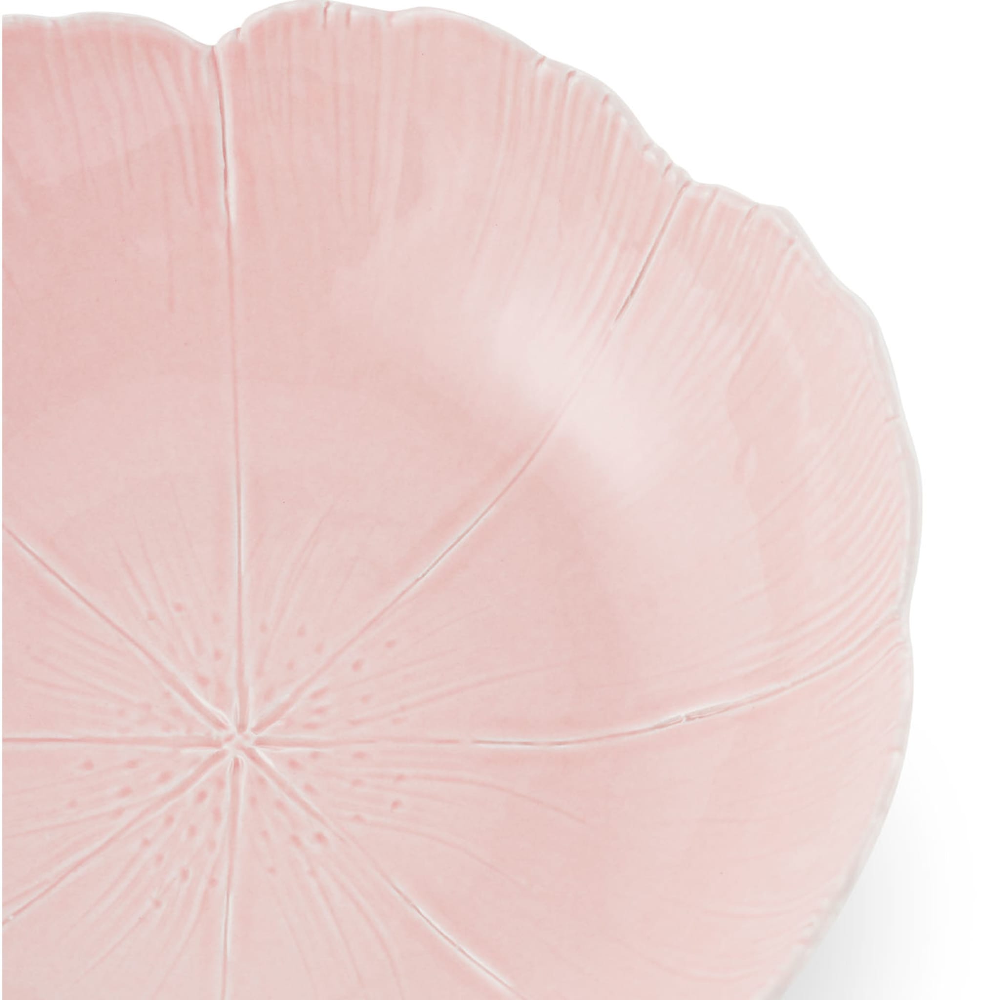 Cherry Blossom Set of 2 Pink Fine Ceramic Pasta Plates - Alternative view 1