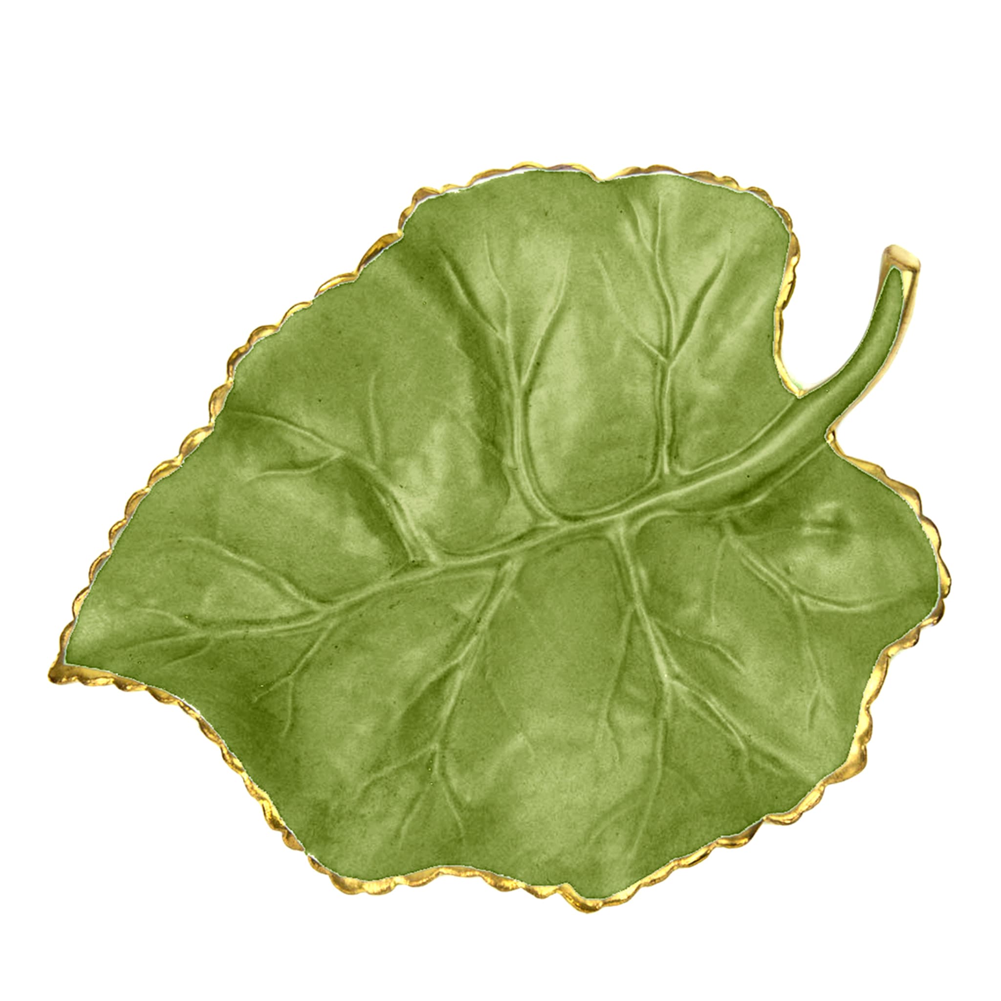 MULBERRY LEAF - ACID GREEN - Main view