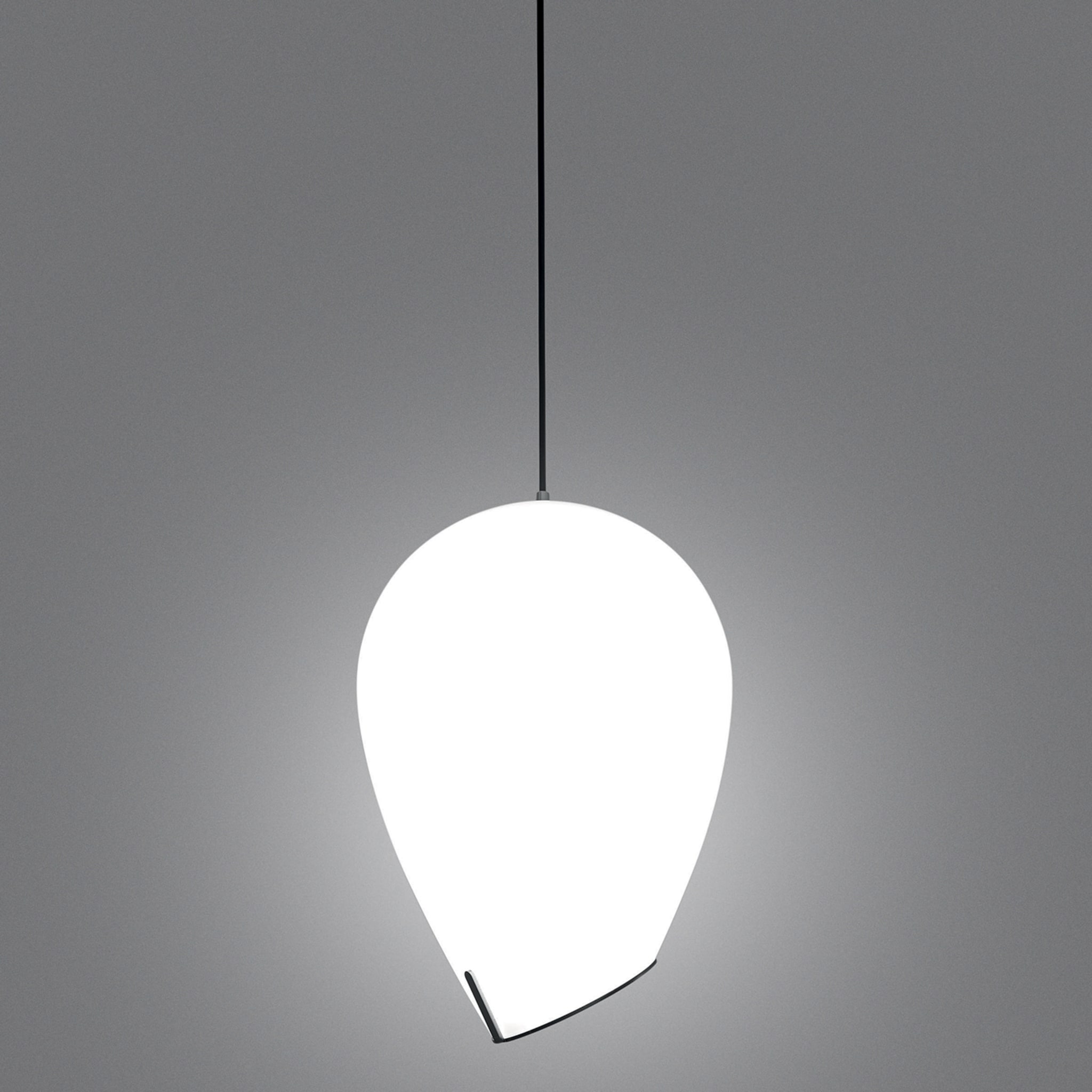 Lámpara colgante Equilibrio de Michele De Lucchi - Vista alternativa 1
