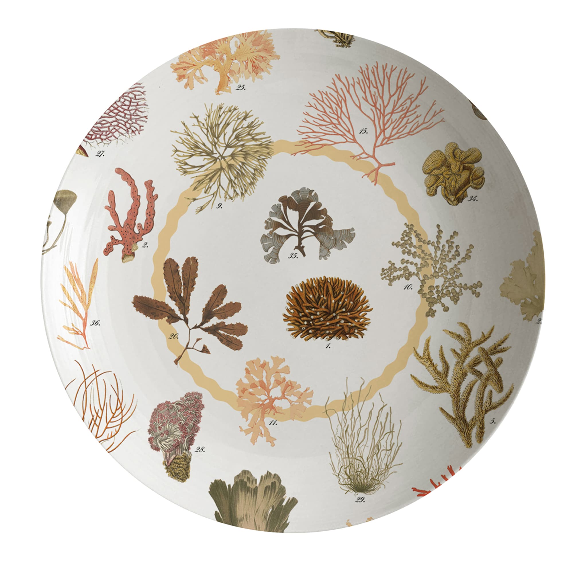 Cabinet De Curiosités Porcelain Soup Plate With Corals - Main view