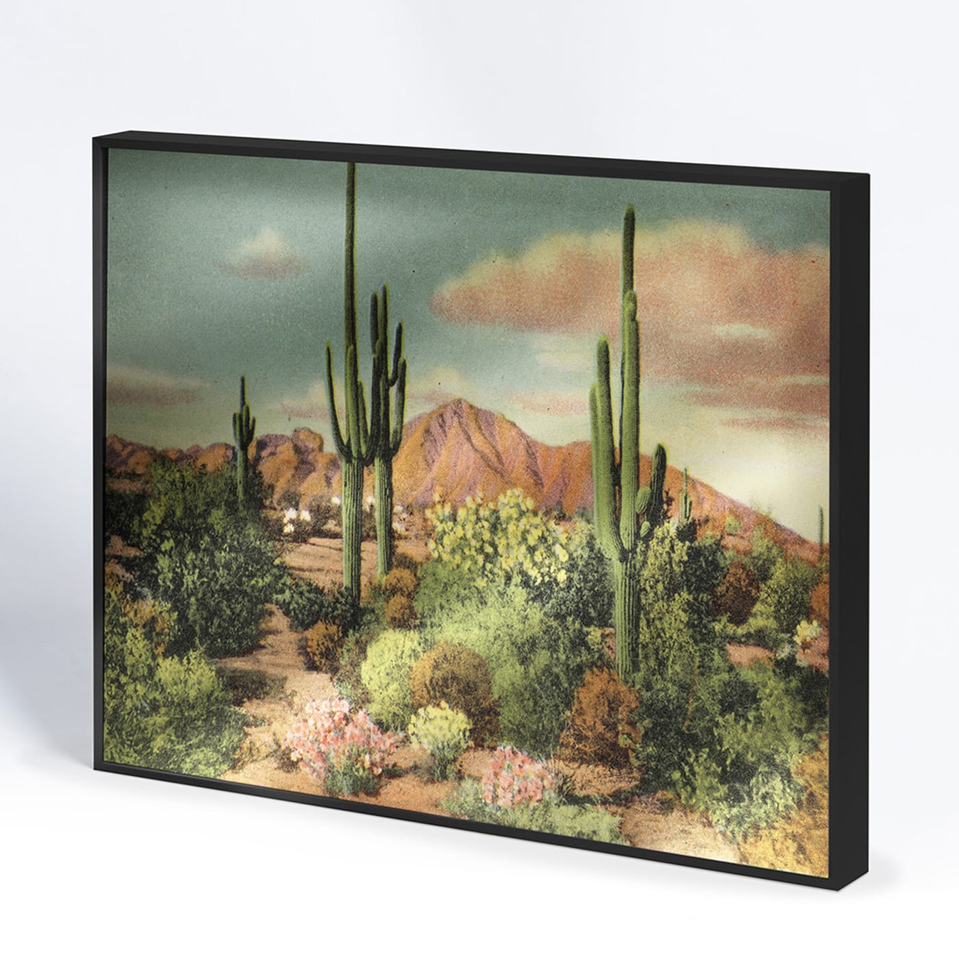 Phoenix, Arizona Horizontal Allurex Silver® Decorative Panel - NC Design