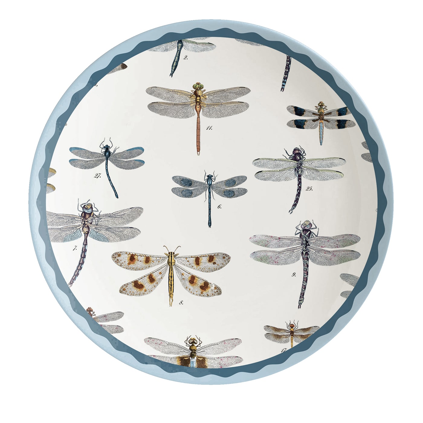 Cabinet de Curiosités Set of 2 Dragonflies Dessert Plates - Grand Tour by Vito Nesta