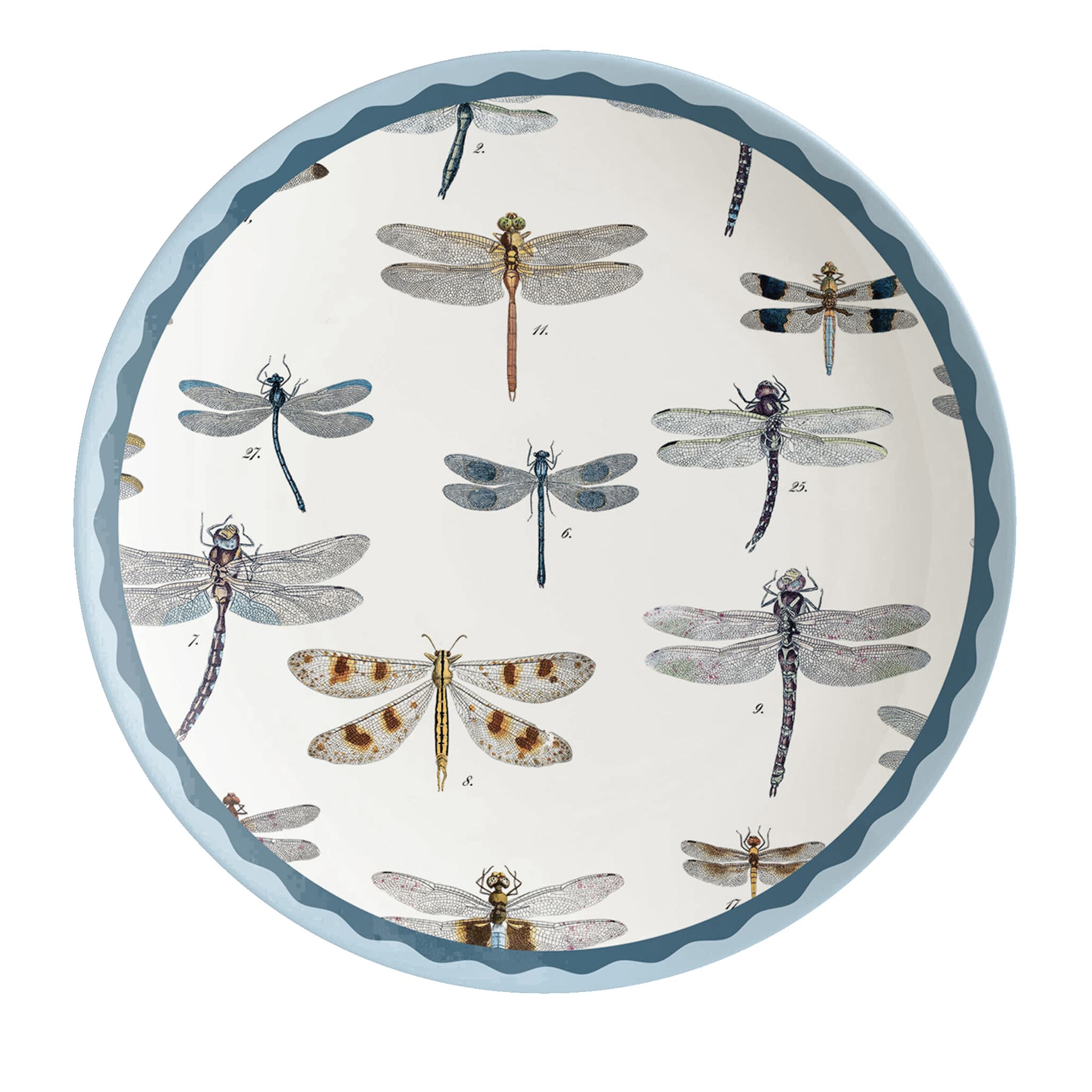 Cabinet De Curiosités Set Of 2 Porcelain Dessert Plates With Dragonflies - Main view
