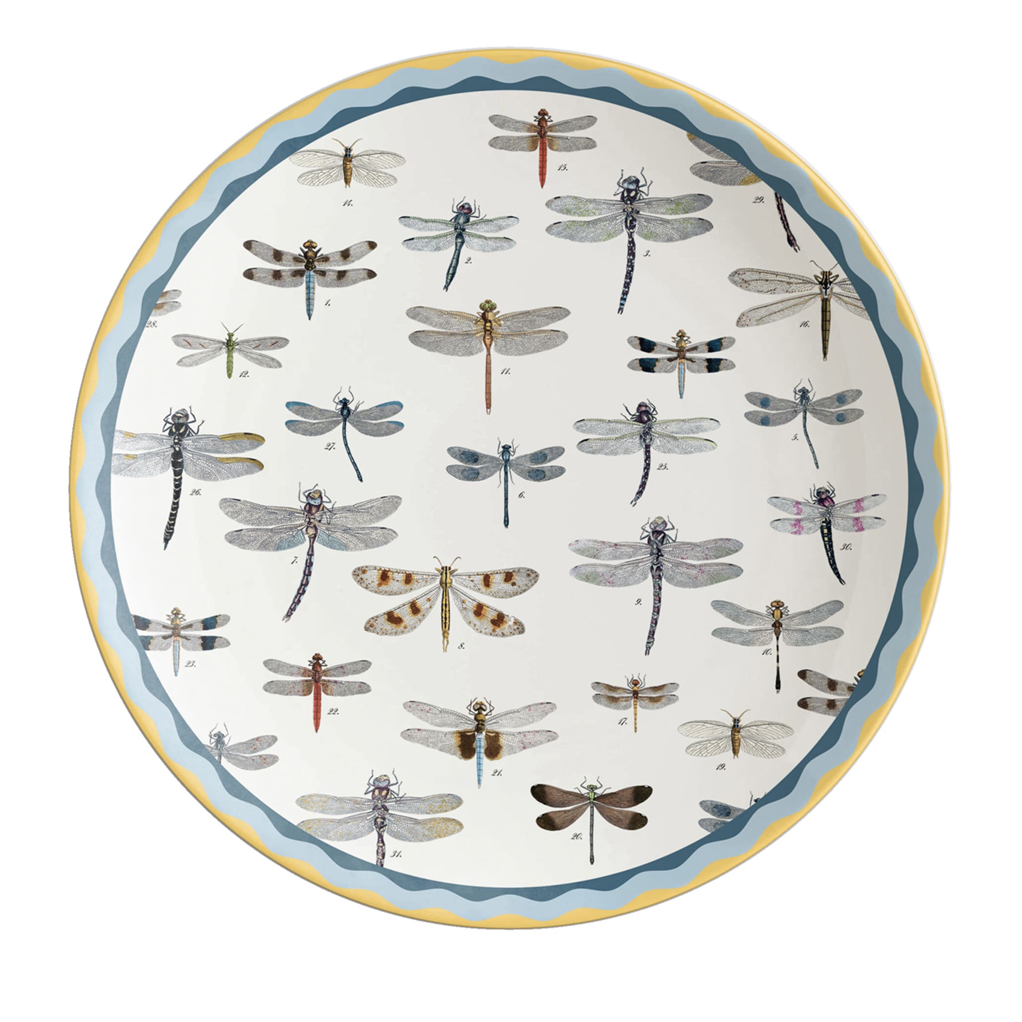 Cabinet De Curiosités Porcelain Charger Plate With Dragonflies - Main view