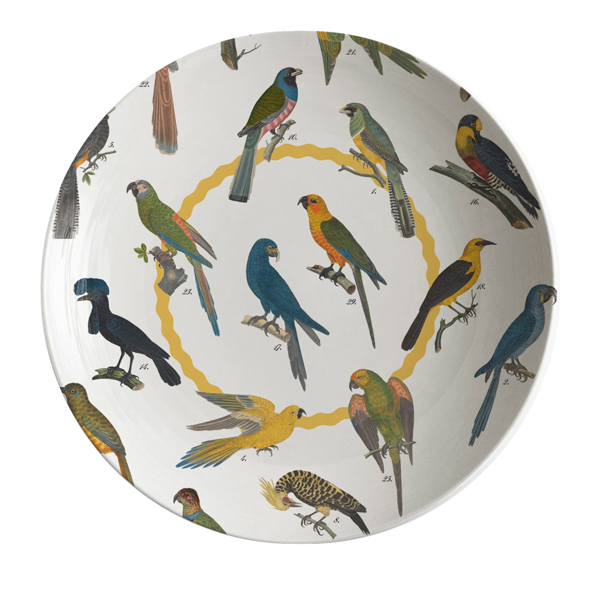 Cabinet De Curiosités Porcelain Soup Plate With Birds - Main view