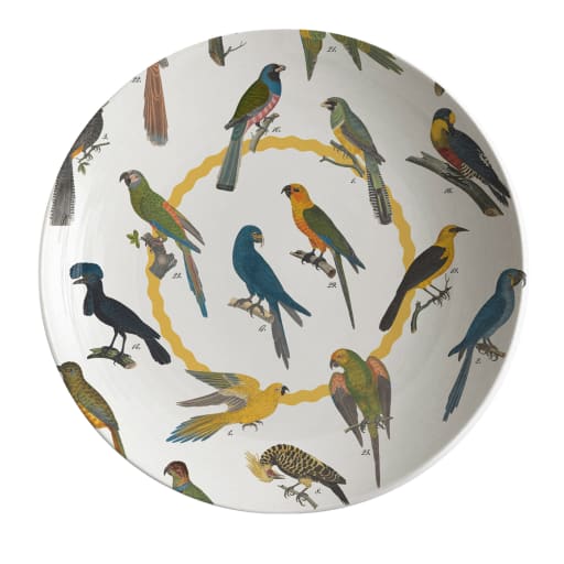 Cabinet de Curiosités Birds Soup Plate Grand Tour by Vito Nesta | Artemest