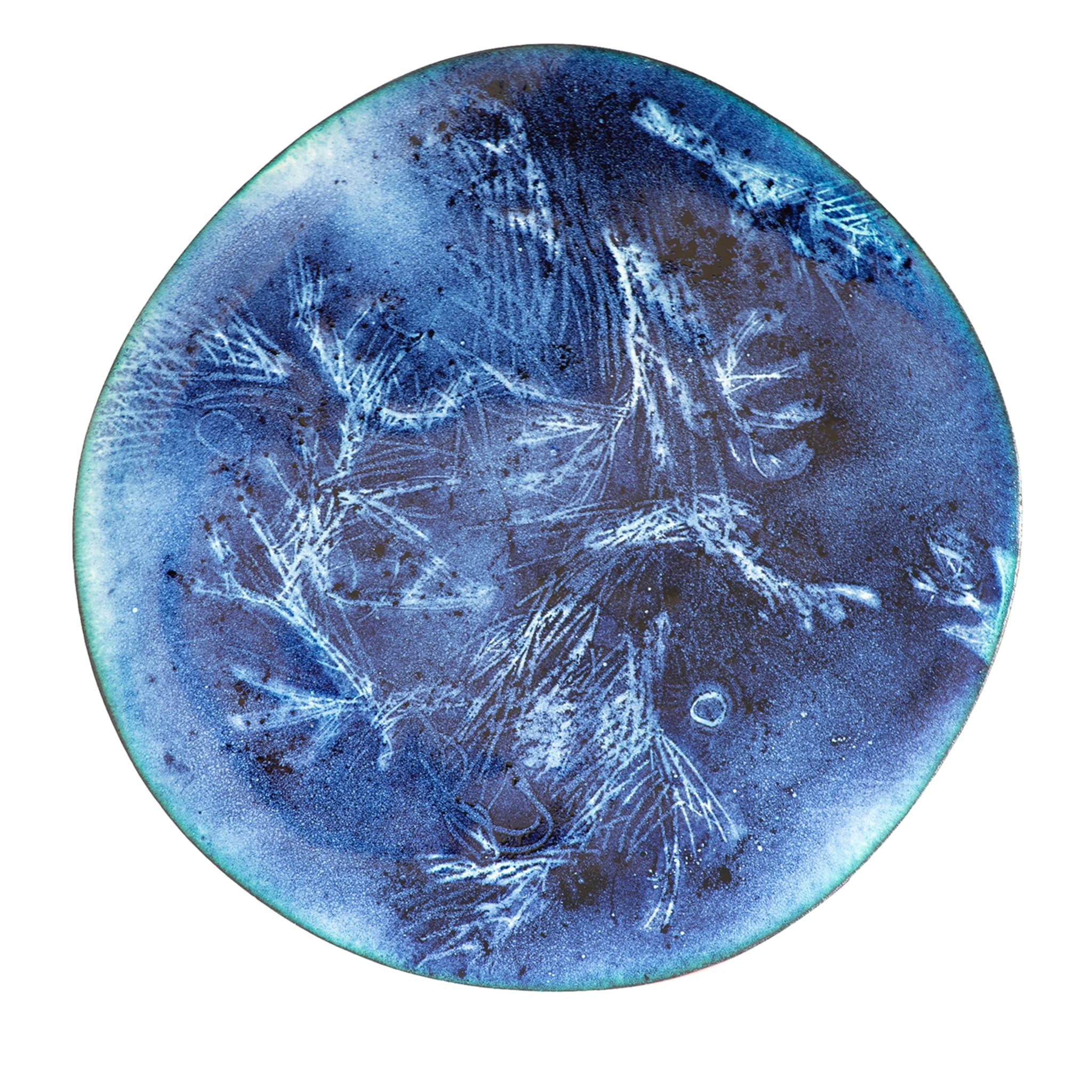 Assiette décorative bleue Giardino Notturno - Vue principale